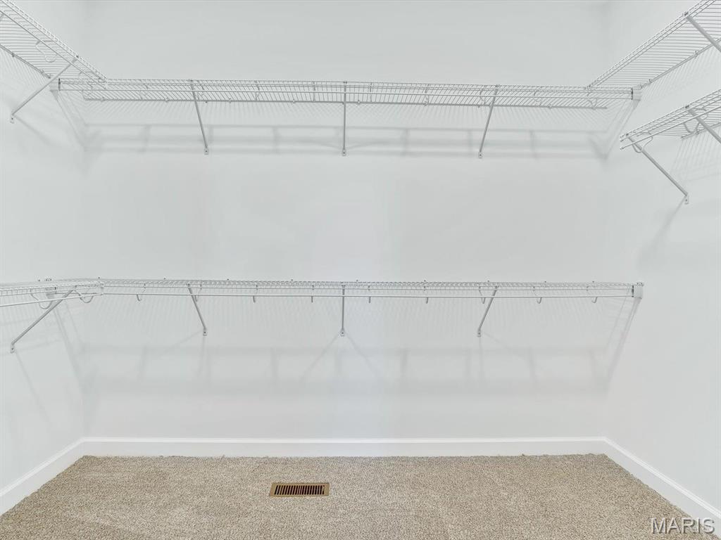 484 Hayden Drive Waterloo, IL 62298 - Photo 23 of 30