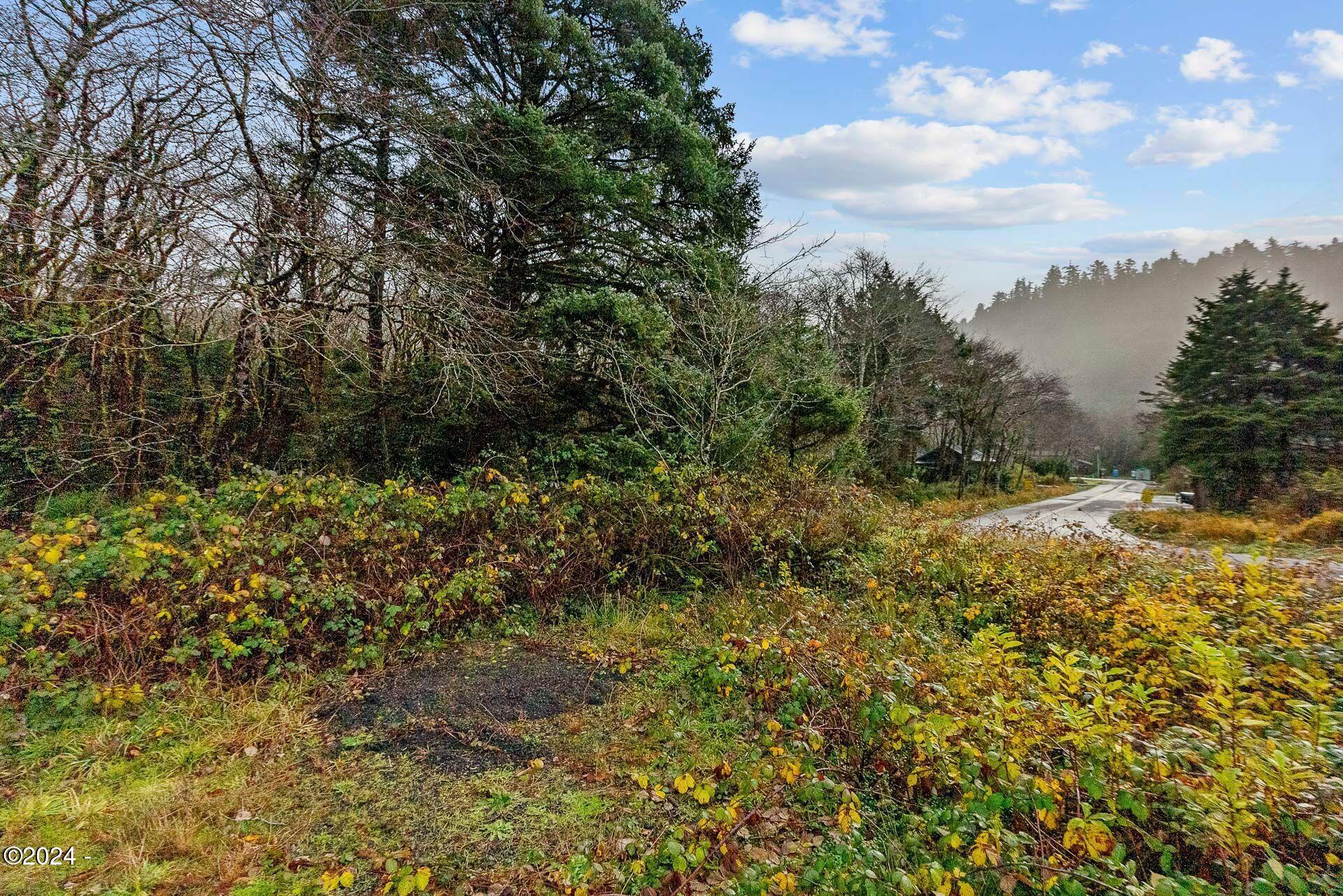 8500 East Beach Road Arch Cape, OR 97102 - Photo 14 of 19 SE Facing Lot from HWY 101