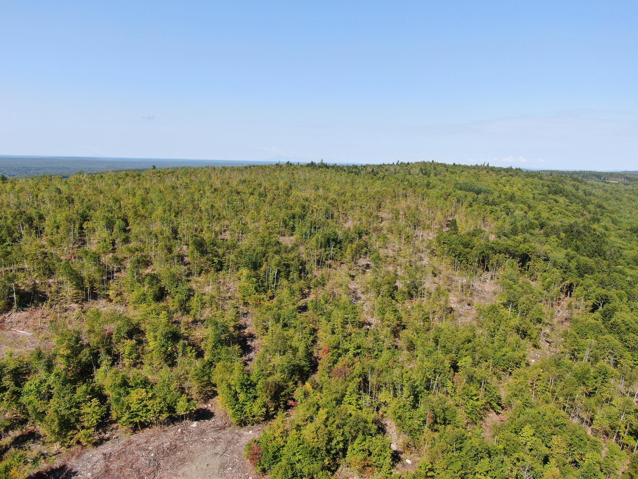 Lot 7 Chadwick Pt Road Weston, ME 04424 - Photo 8 of 18 DJI_0749