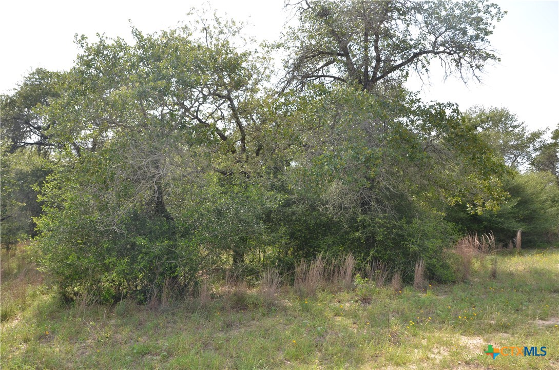 Lot 66 Powder Ridge Luling, TX 78648 - Photo 14 of 14