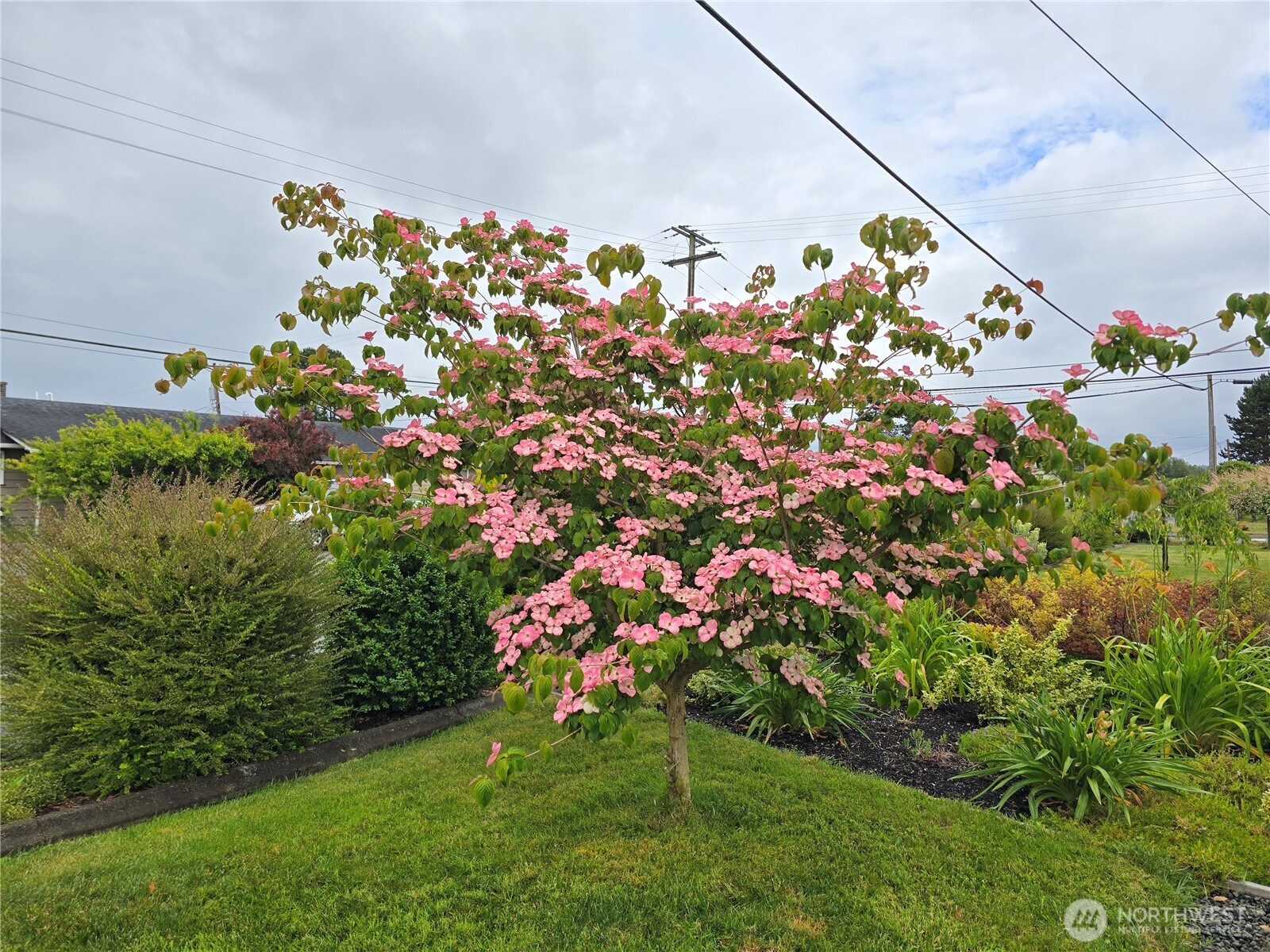 1102 West Anderson Street Elma, WA 98541 - Photo 33 of 40 a backyard of a house with lots of green space and garden