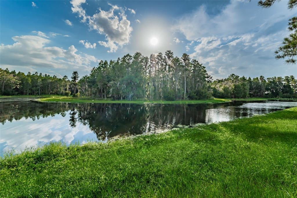 1345 Halapa Way Trinity, FL 34655 - Photo 93 of 93