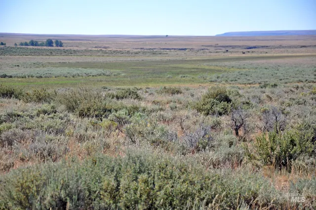 $599,000 | Tbd Mud Flat Road, Grand View, ID 83624