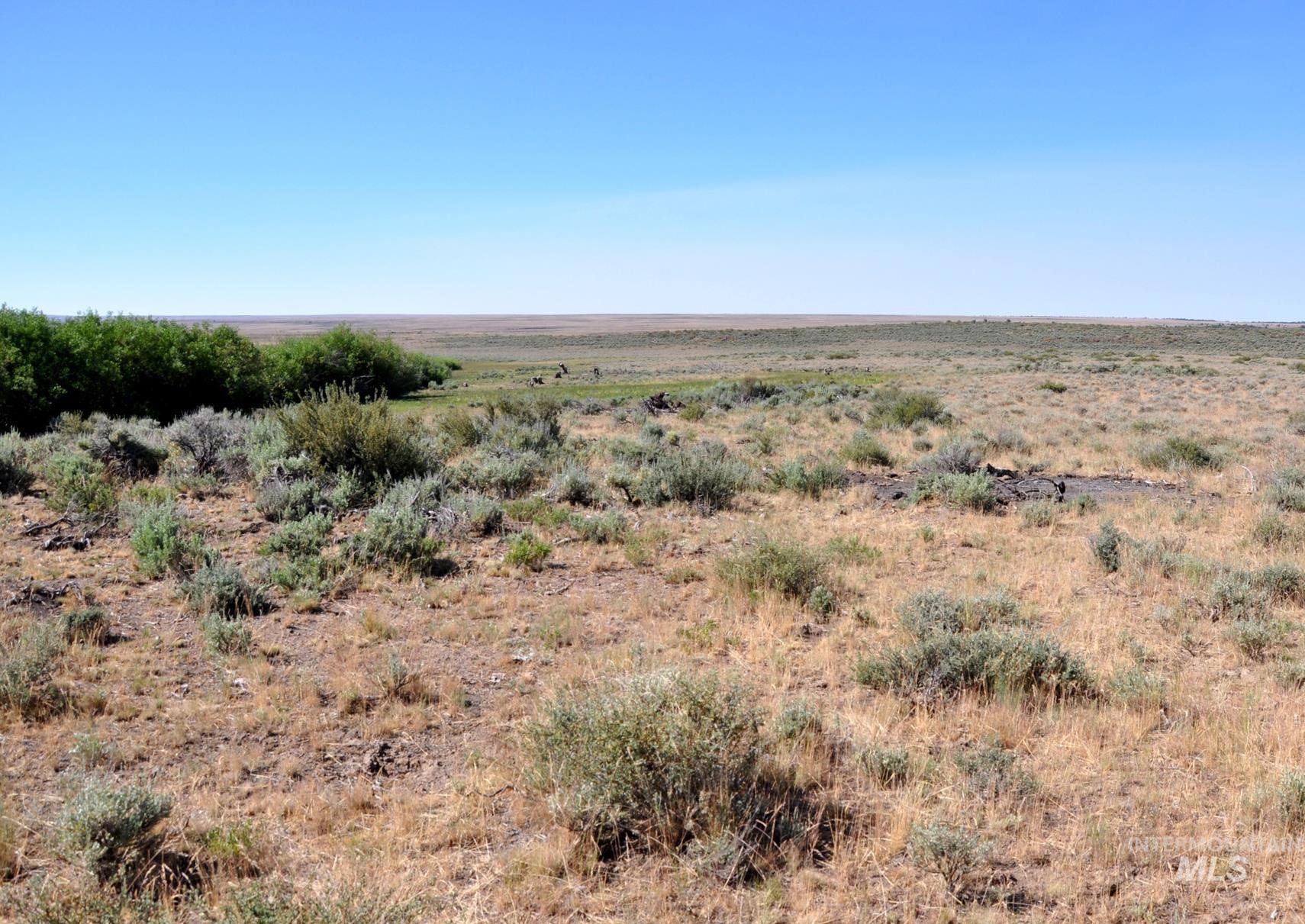 Tbd Mud Flat Road Grand View, ID 83624 - Photo 3 of 10 View of undeveloped land featuring rural landscape