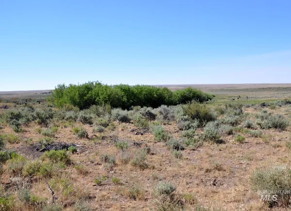 $599,000 | Tbd Mud Flat Road, Grand View, ID 83624