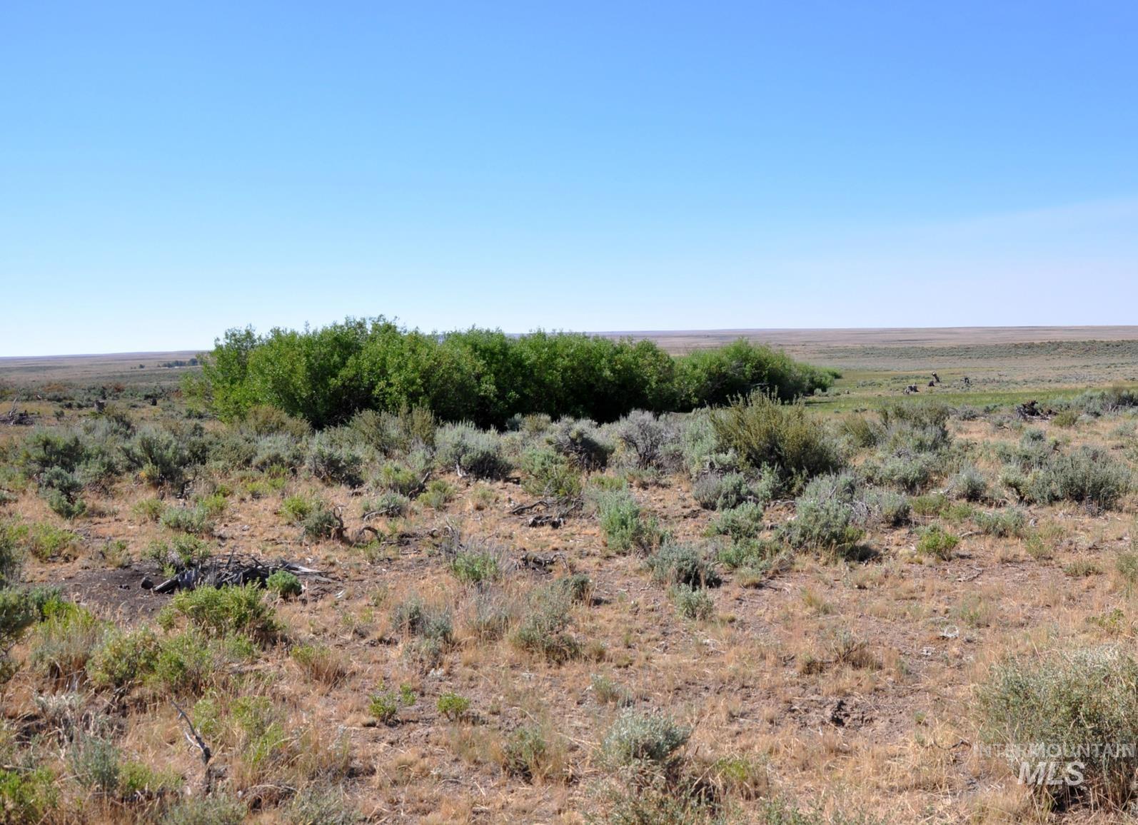Tbd Mud Flat Road Grand View, ID 83624 - Photo 4 of 10 View of local wilderness with rural landscape