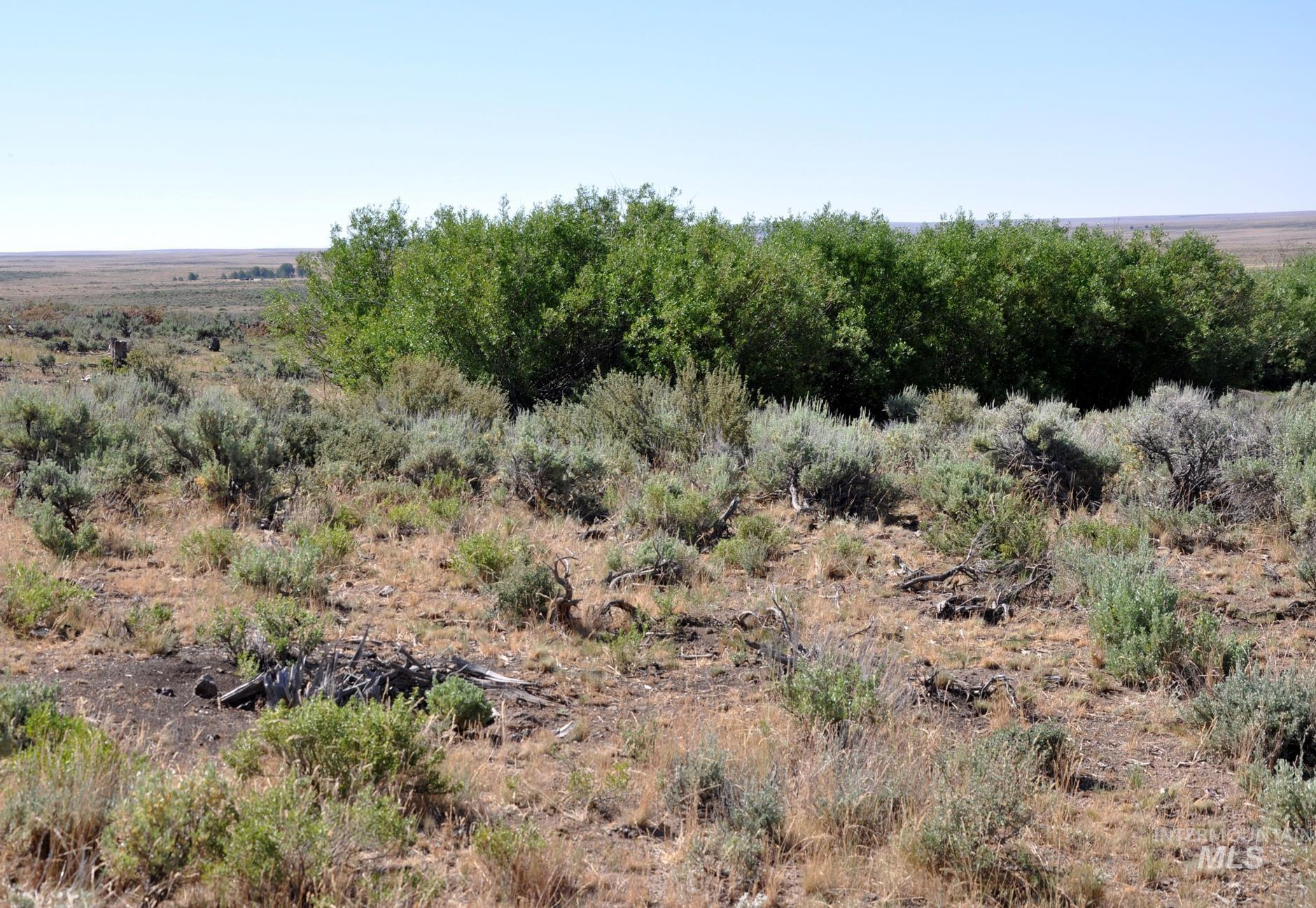 Tbd Mud Flat Road Grand View, ID 83624 - Photo 5 of 10 View of local wilderness featuring rural landscape