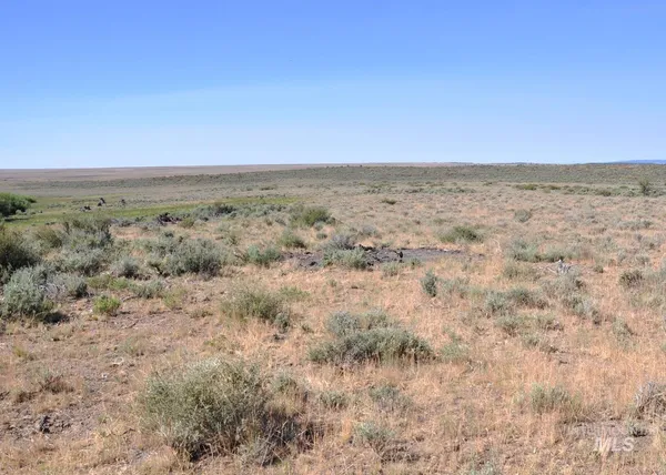 $599,000 | Tbd Mud Flat Road, Grand View, ID 83624
