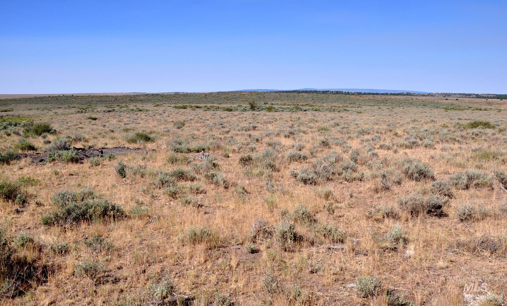 Tbd Mud Flat Road Grand View, ID 83624 - Photo 7 of 10 View of local wilderness with rural landscape