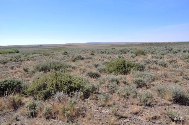 $599,000 | Tbd Mud Flat Road, Grand View, ID 83624