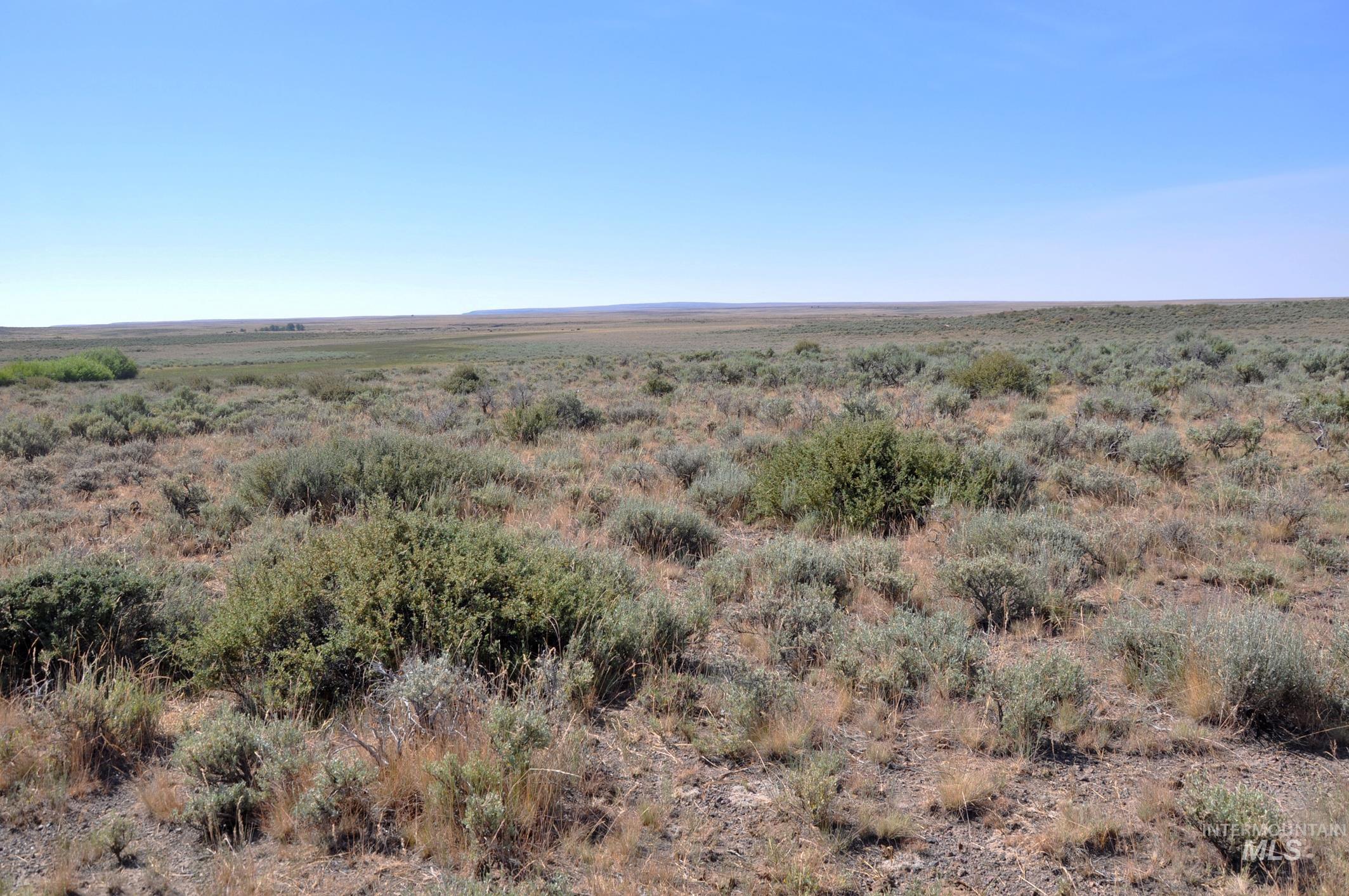 Tbd Mud Flat Road Grand View, ID 83624 - Photo 8 of 10 View of undeveloped land featuring rural landscape