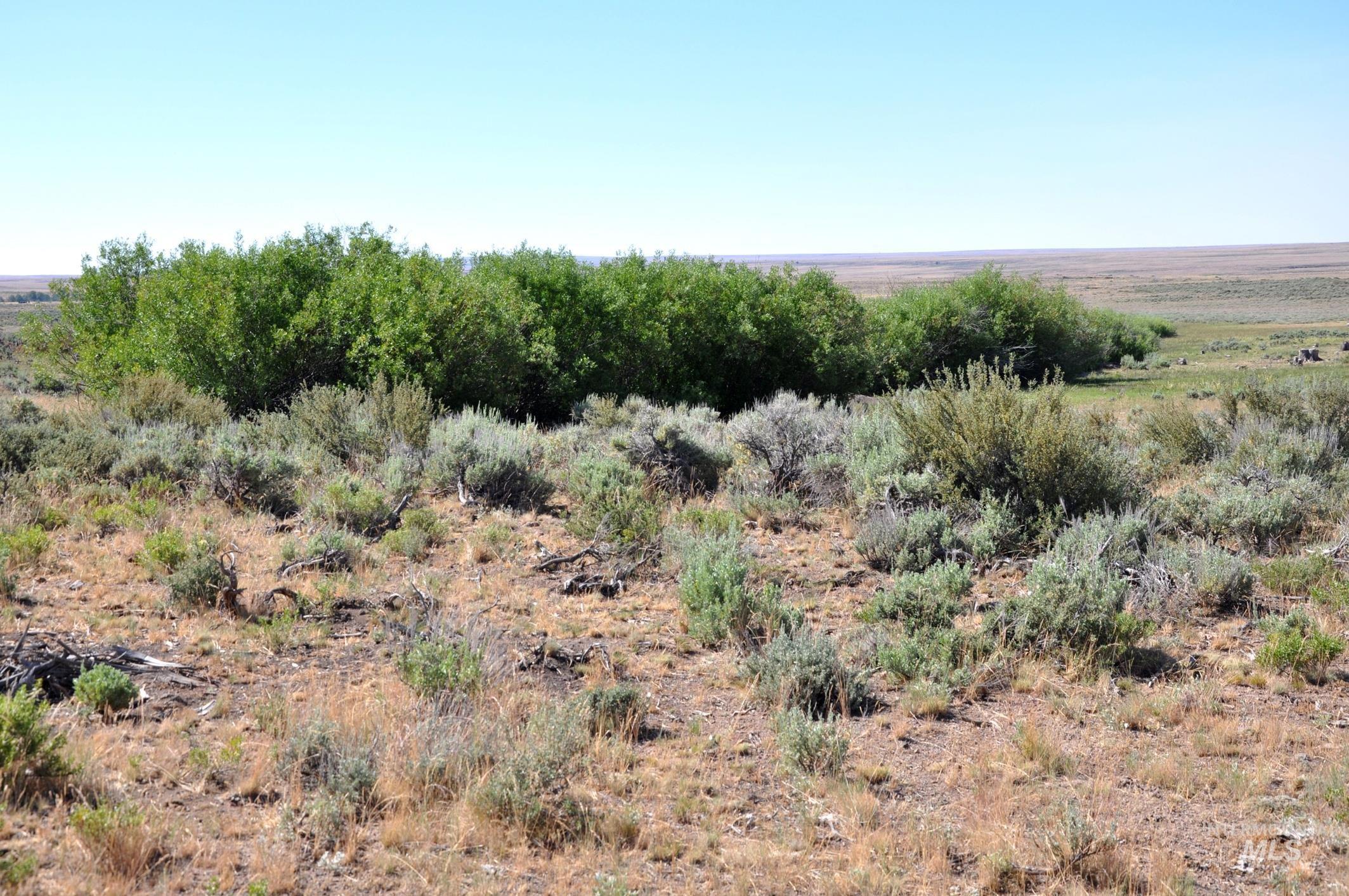 Tbd Mud Flat Road Grand View, ID 83624 - Photo 9 of 10 View of local wilderness featuring rural landscape