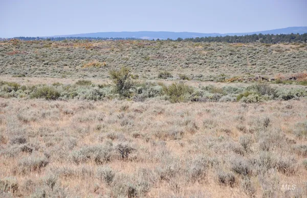 $599,000 | Tbd Mud Flat Road, Grand View, ID 83624