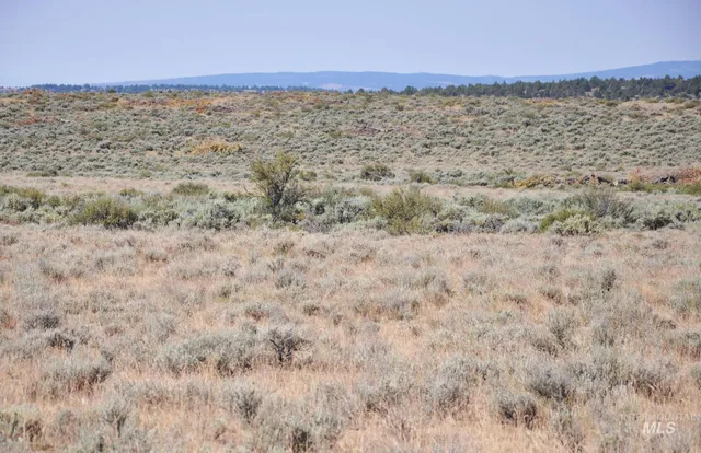 $599,000 | Tbd Mud Flat Road, Grand View, ID 83624
