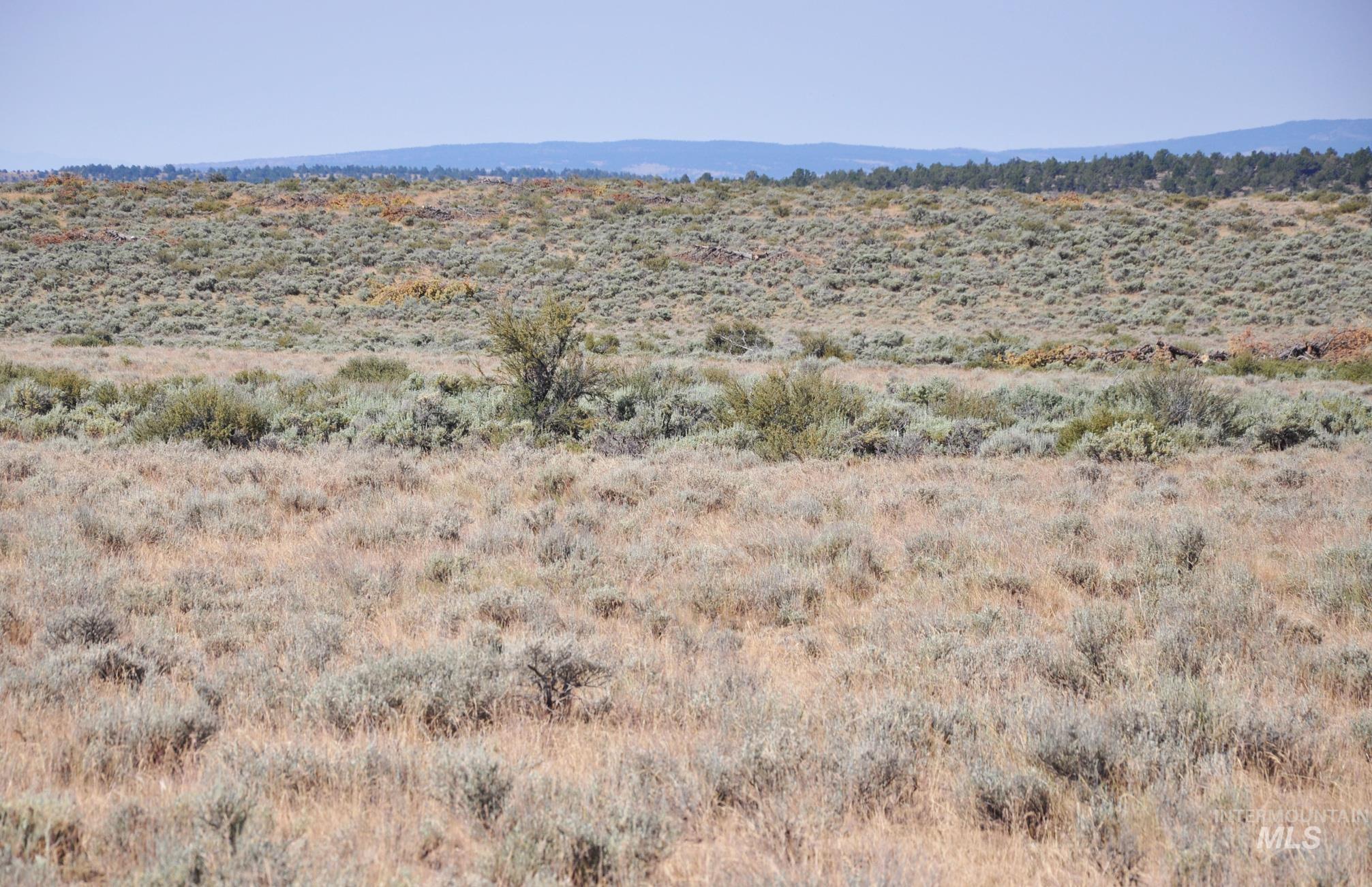 Tbd Mud Flat Road Grand View, ID 83624 - Photo 10 of 10 Mountain view