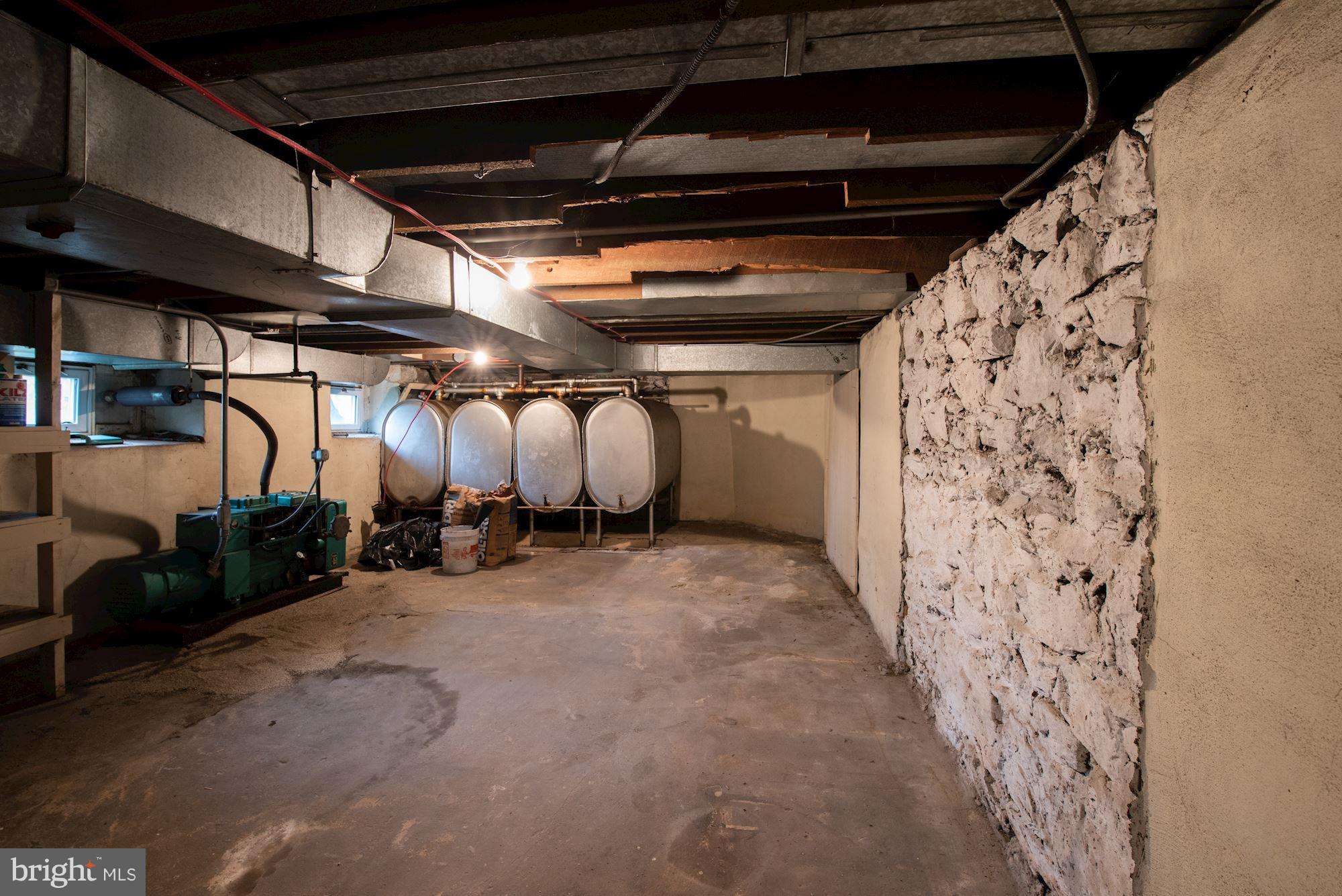 19094 Blue Ridge Mountain Road Bluemont, VA 20135 - Photo 17 of 22 Basement