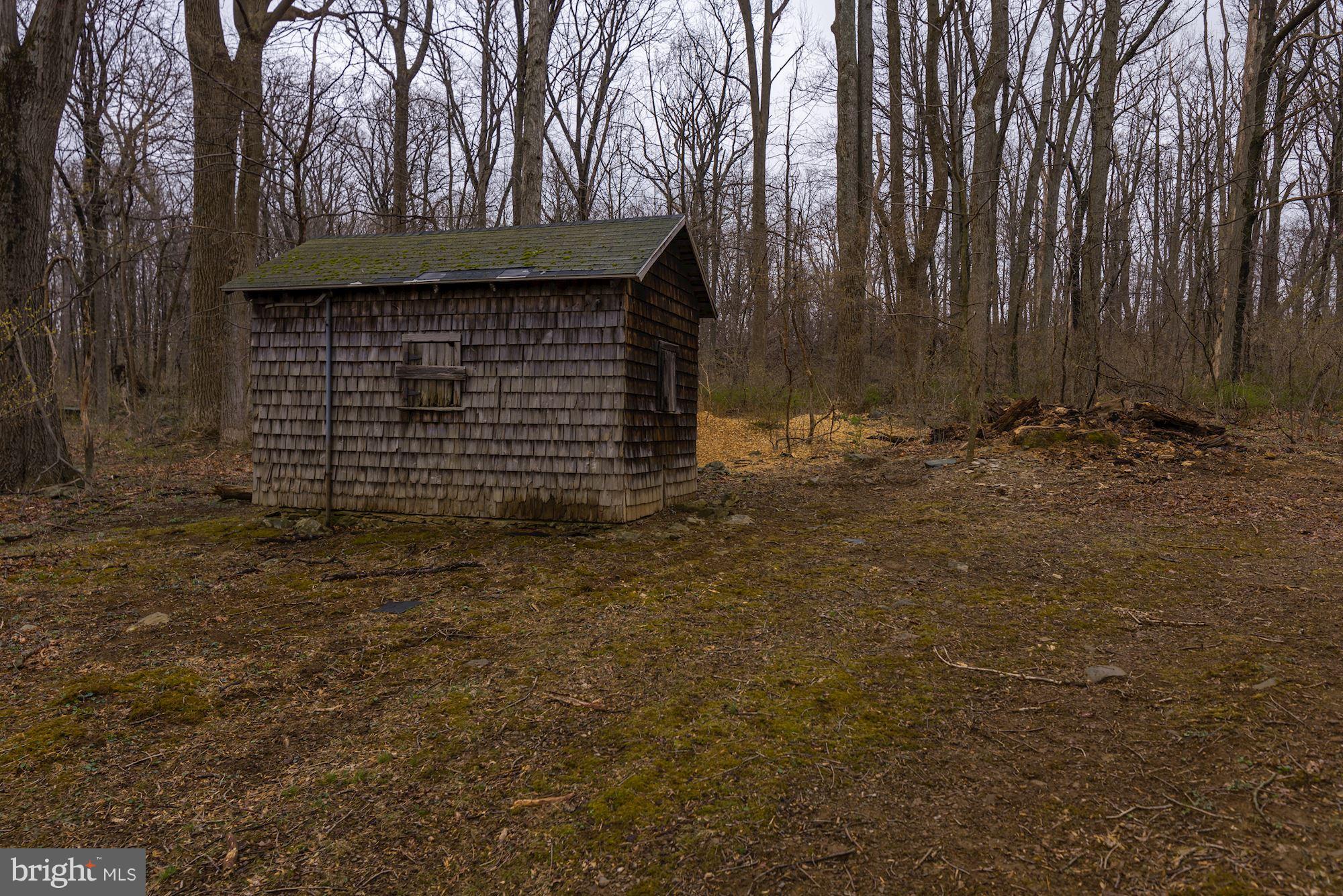 19094 Blue Ridge Mountain Road Bluemont, VA 20135 - Photo 20 of 22 Exterior (General)