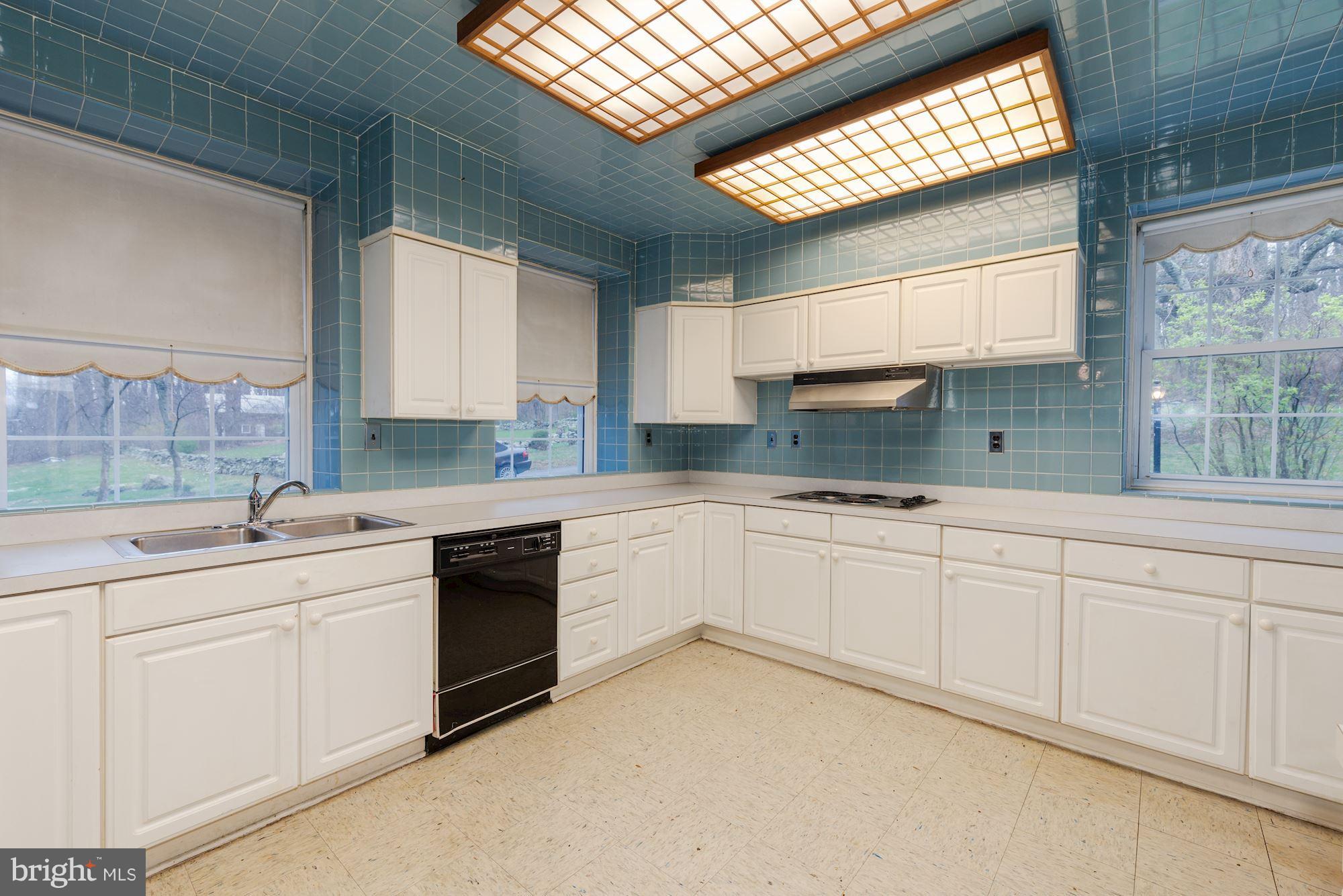 19094 Blue Ridge Mountain Road Bluemont, VA 20135 - Photo 4 of 22 Kitchen