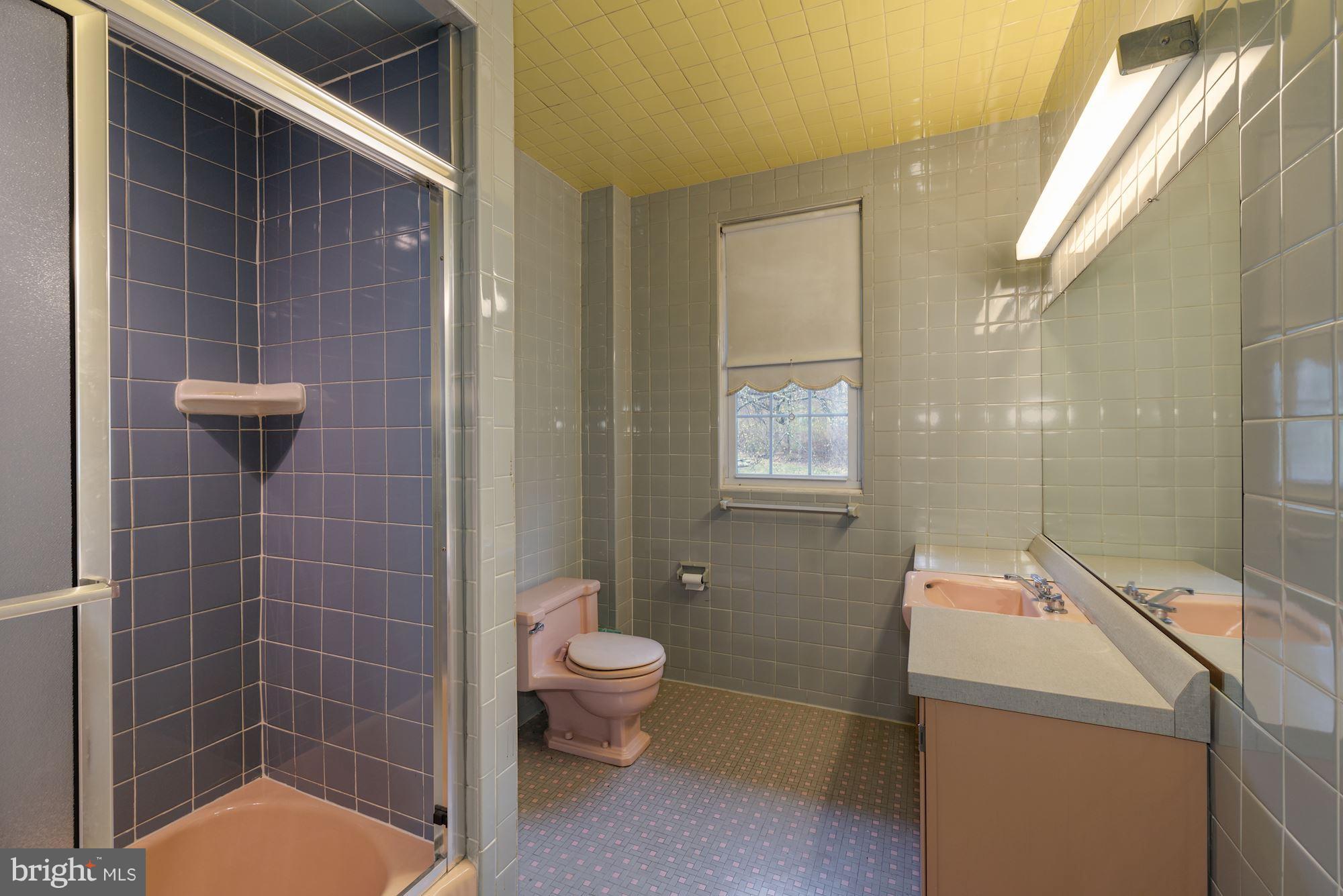 19094 Blue Ridge Mountain Road Bluemont, VA 20135 - Photo 10 of 22 Bath (Master)