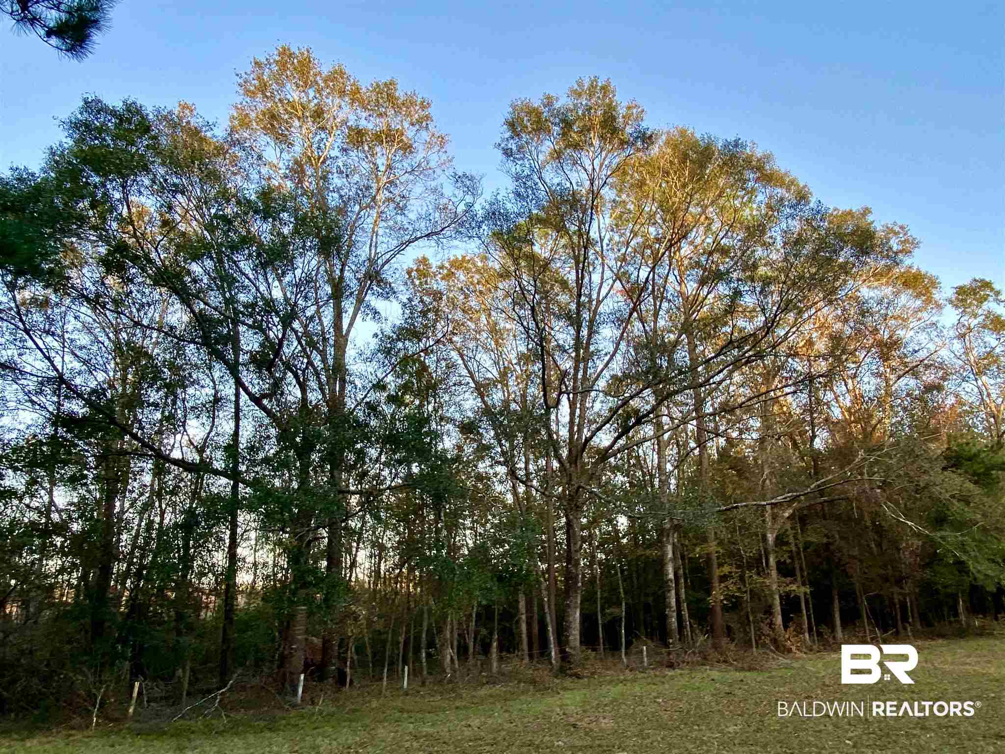 0 Country Road Fruitdale, AL 36539 - Photo 26 of 47
