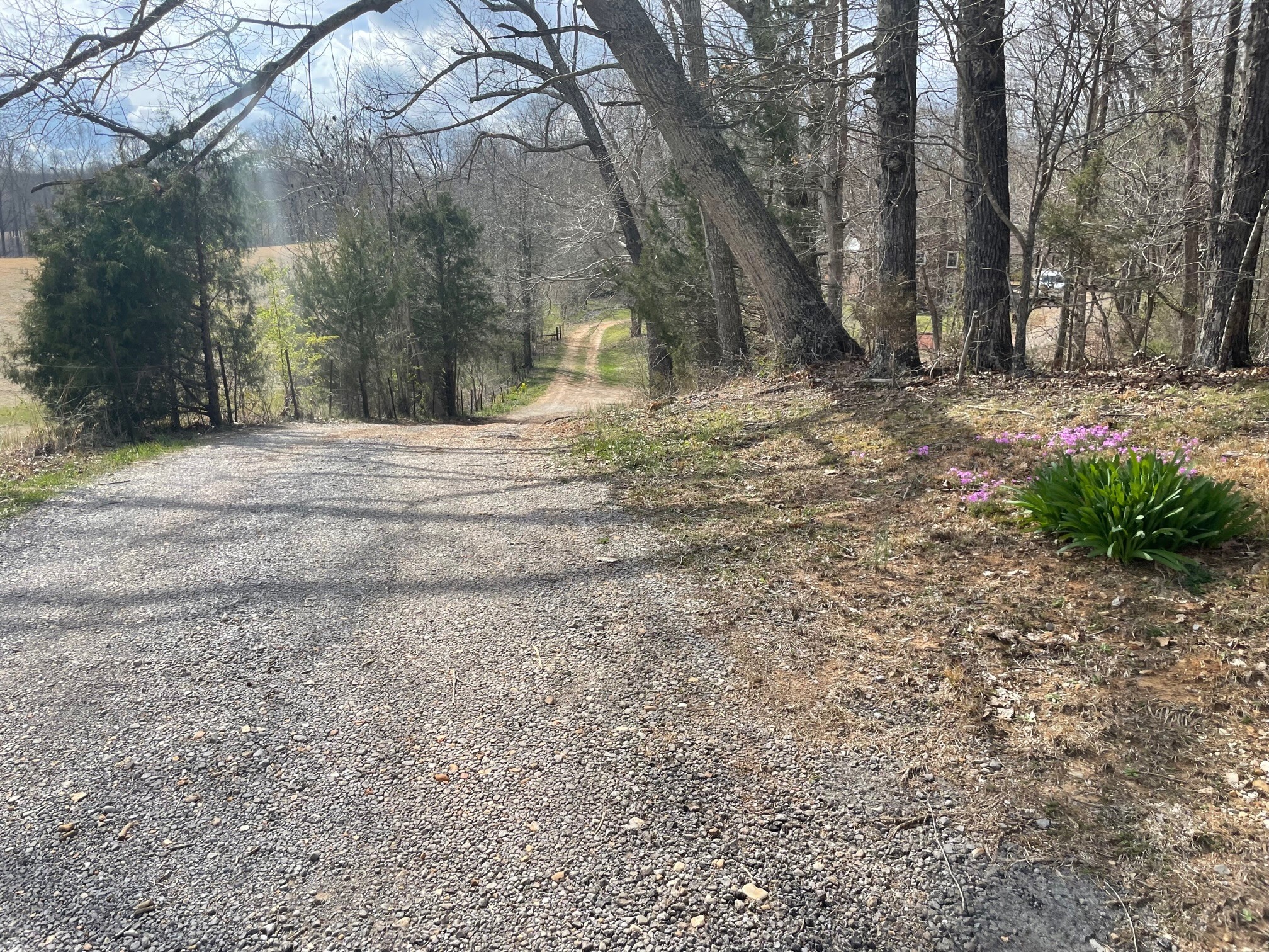 4100 Coleman Road Woodlawn, TN 37191 - Photo 36 of 55 Gallery Image 36