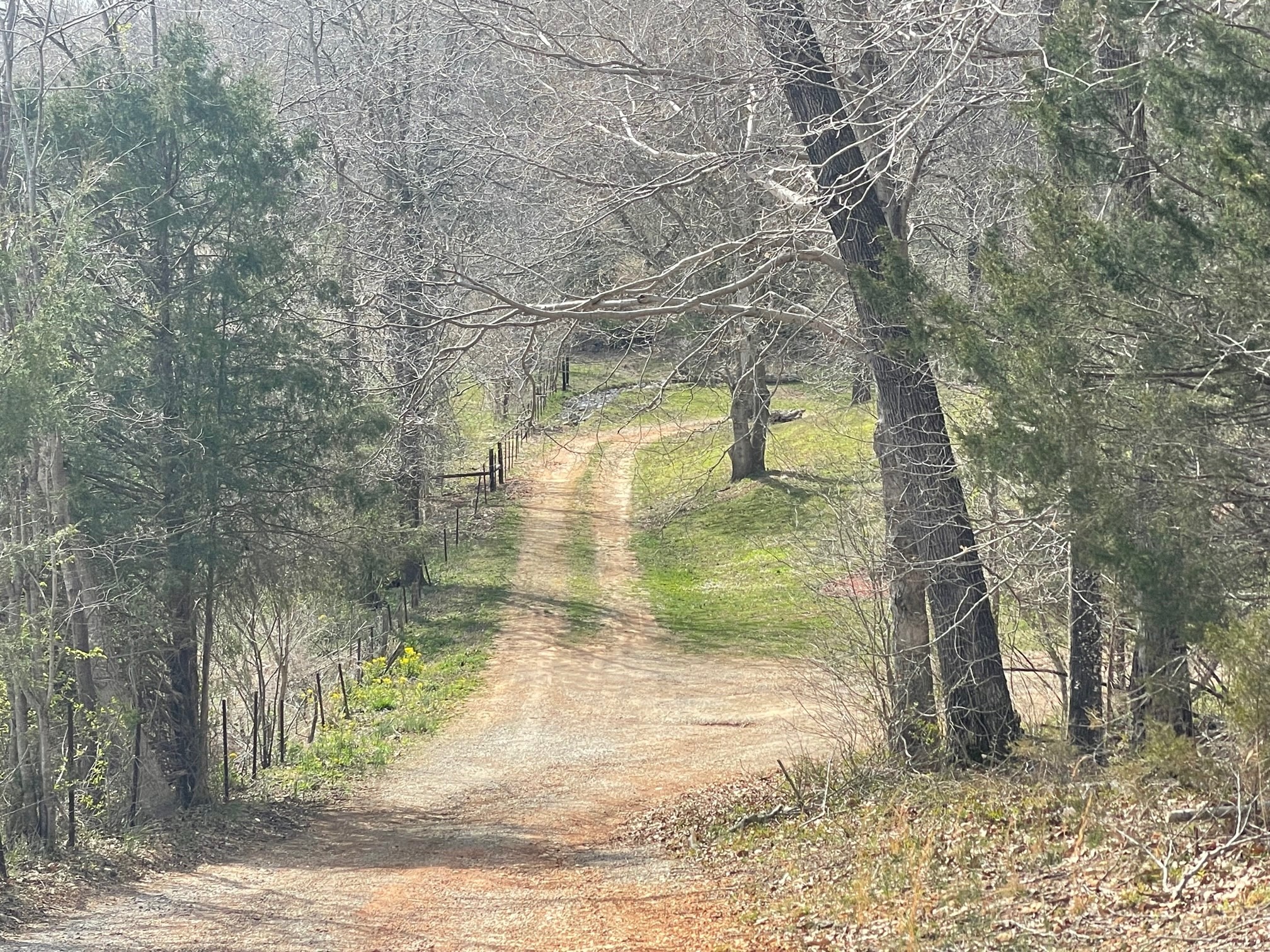 4100 Coleman Road Woodlawn, TN 37191 - Photo 37 of 55 Gallery Image 37