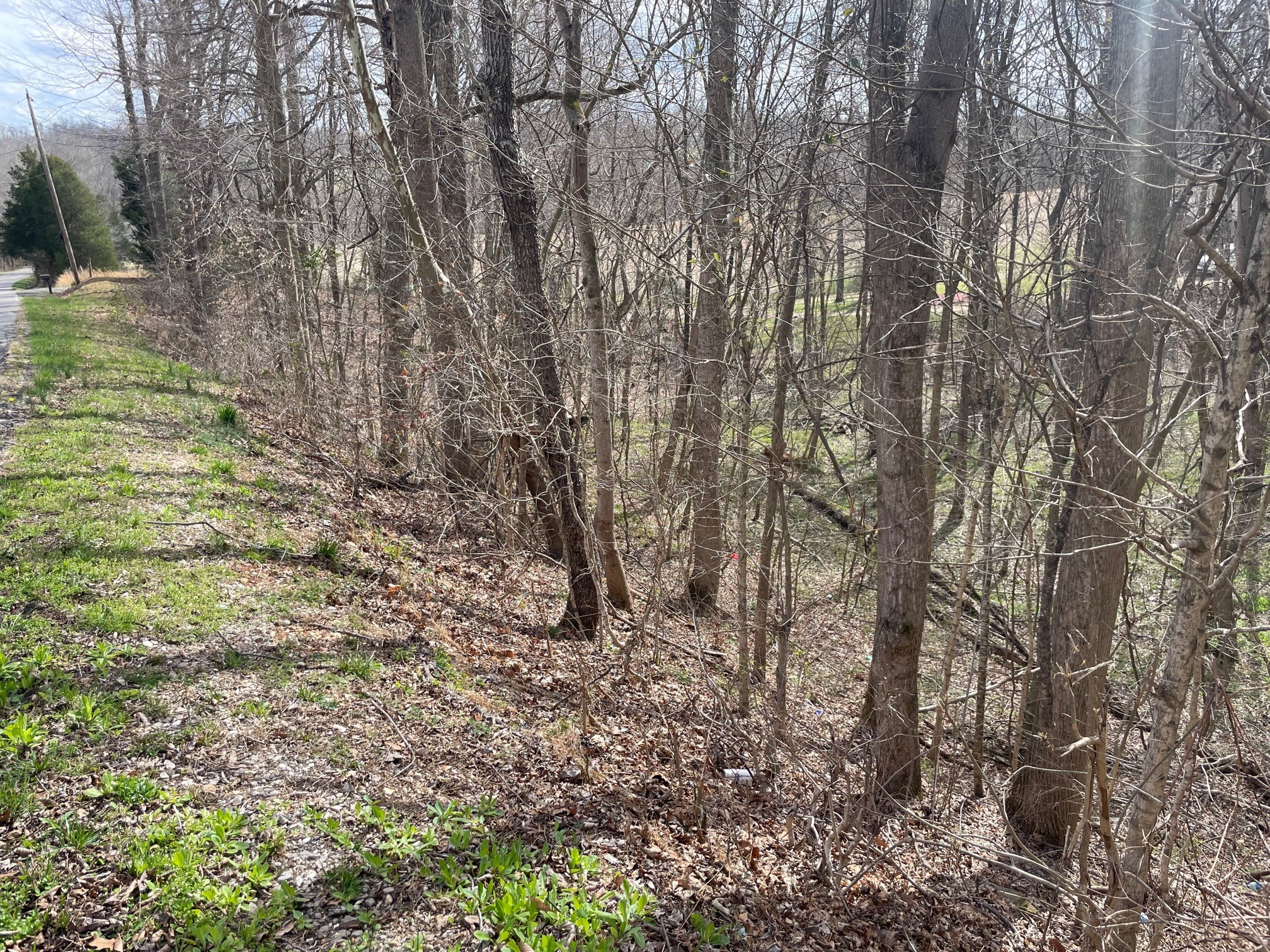 4100 Coleman Road Woodlawn, TN 37191 - Photo 38 of 55 Gallery Image 38