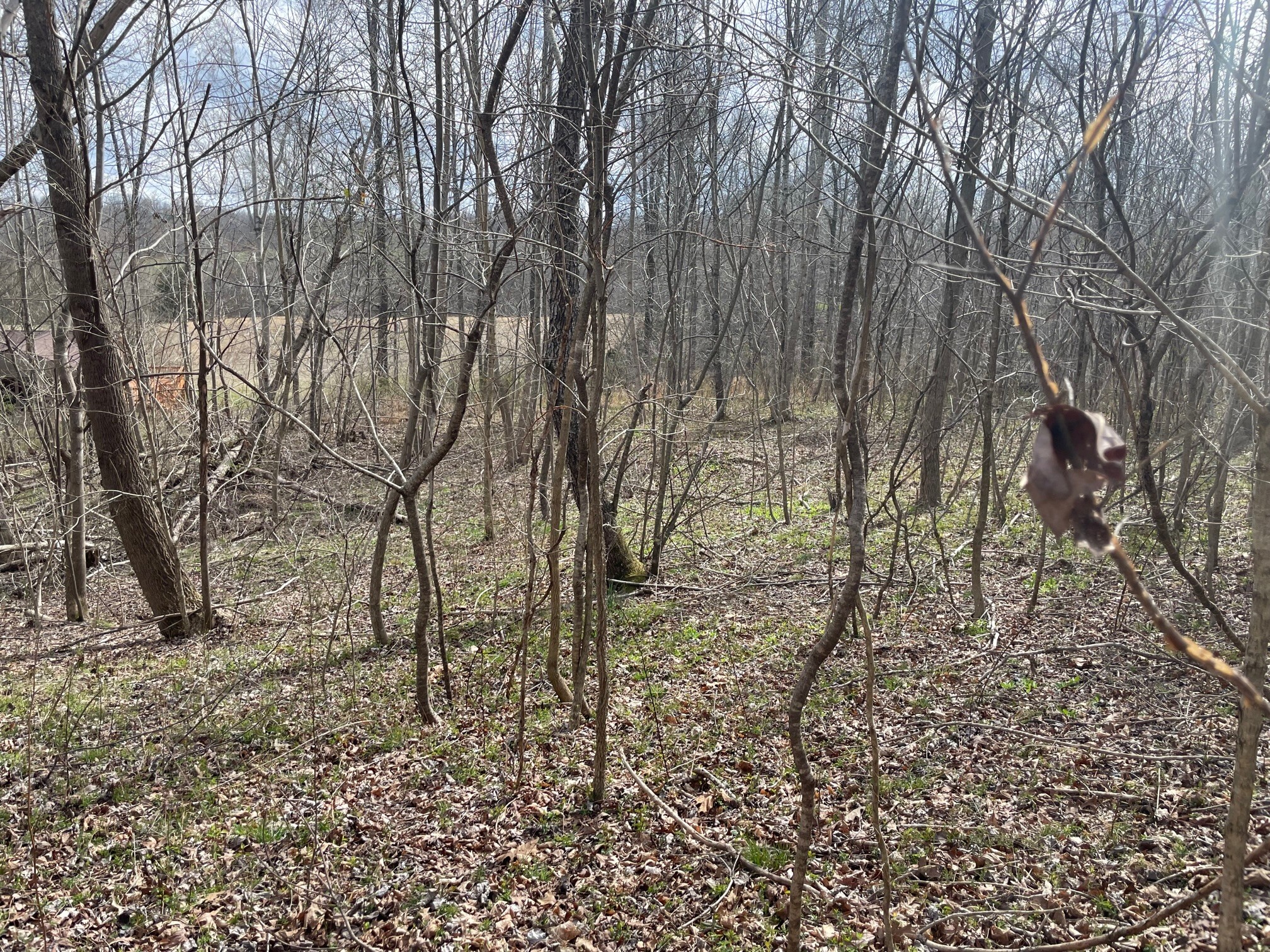 4100 Coleman Road Woodlawn, TN 37191 - Photo 39 of 55 Gallery Image 39