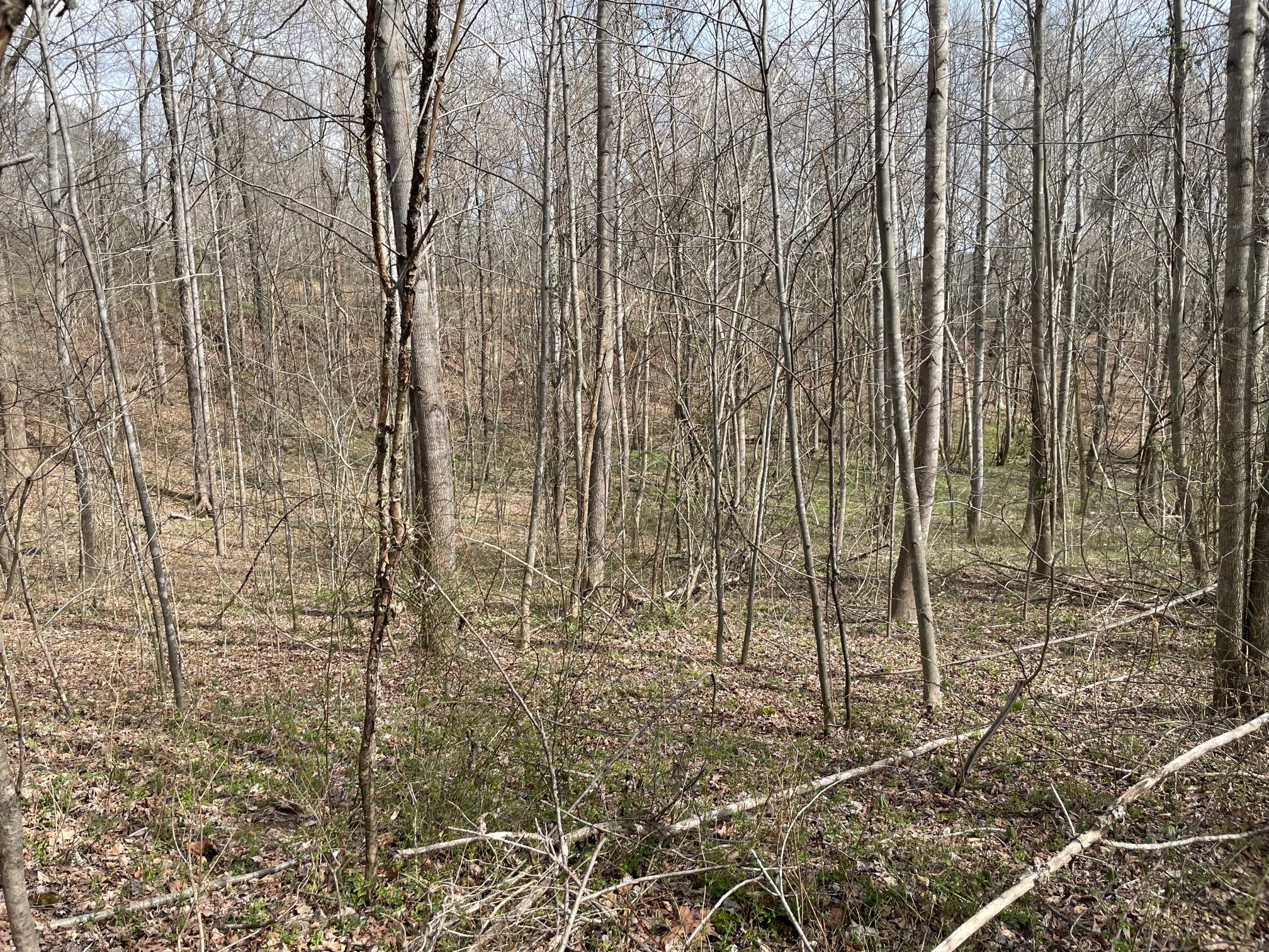 4100 Coleman Road Woodlawn, TN 37191 - Photo 40 of 55 Gallery Image 40