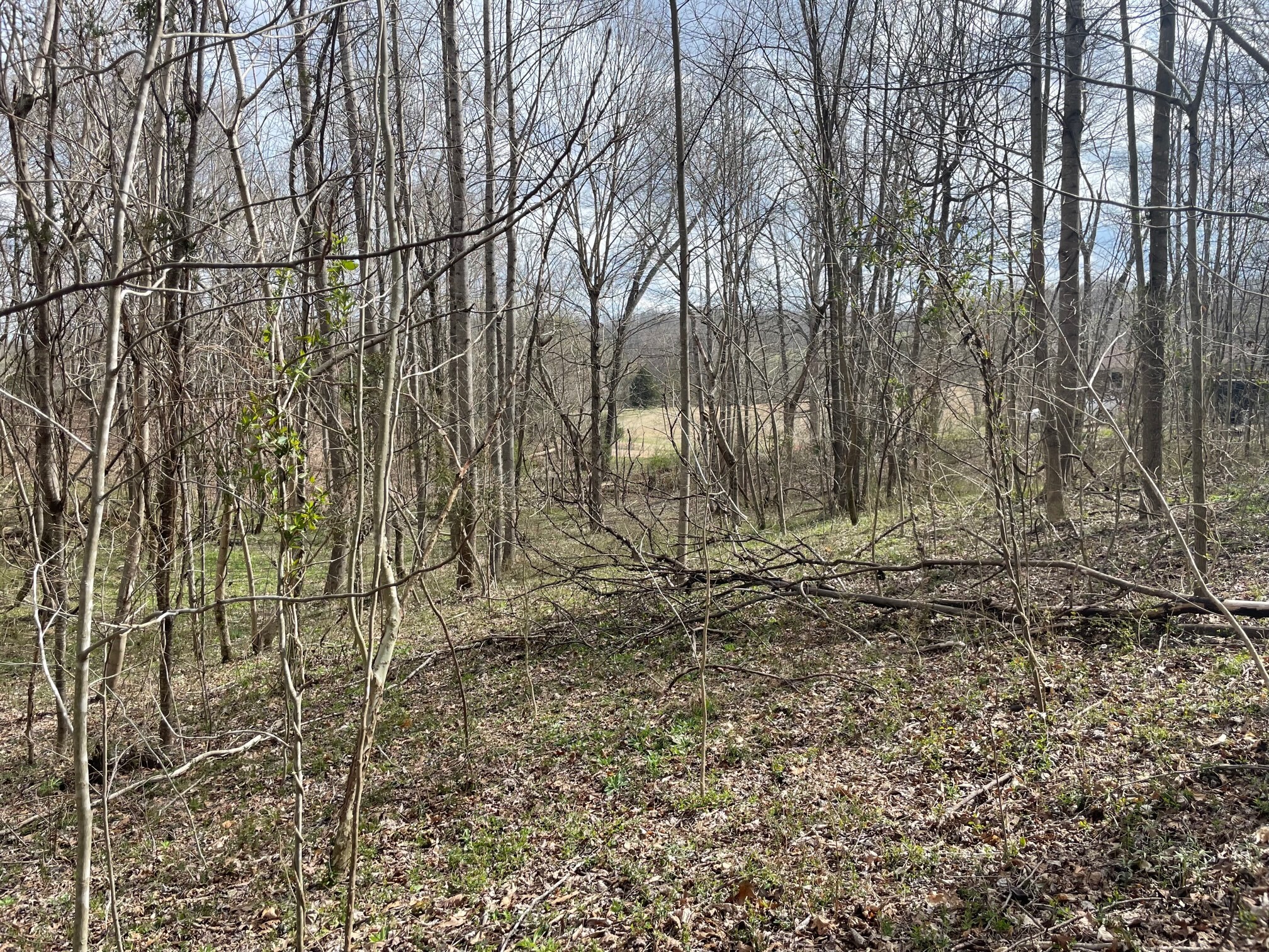 4100 Coleman Road Woodlawn, TN 37191 - Photo 41 of 55 Gallery Image 41