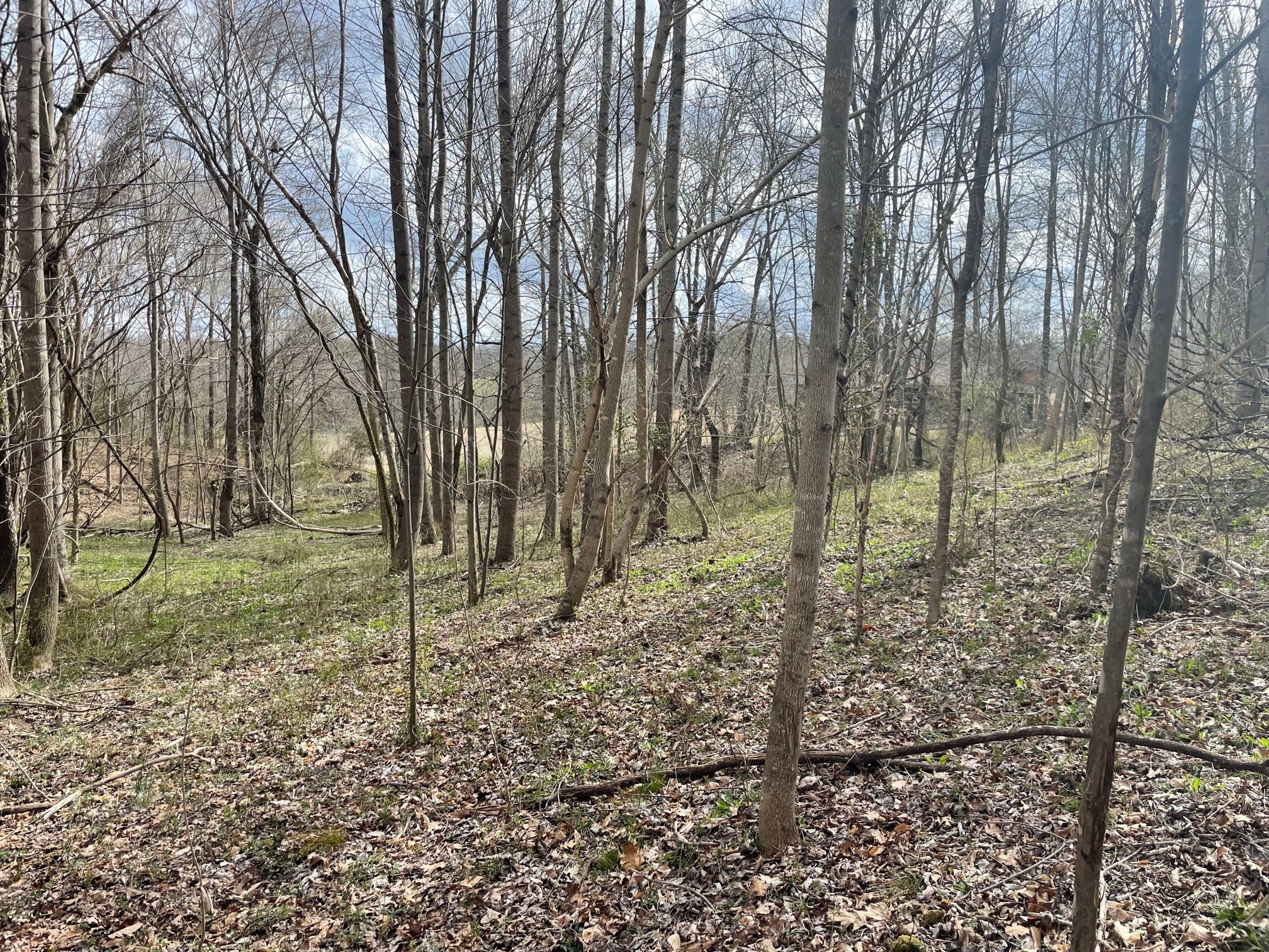 4100 Coleman Road Woodlawn, TN 37191 - Photo 42 of 55 Gallery Image 42