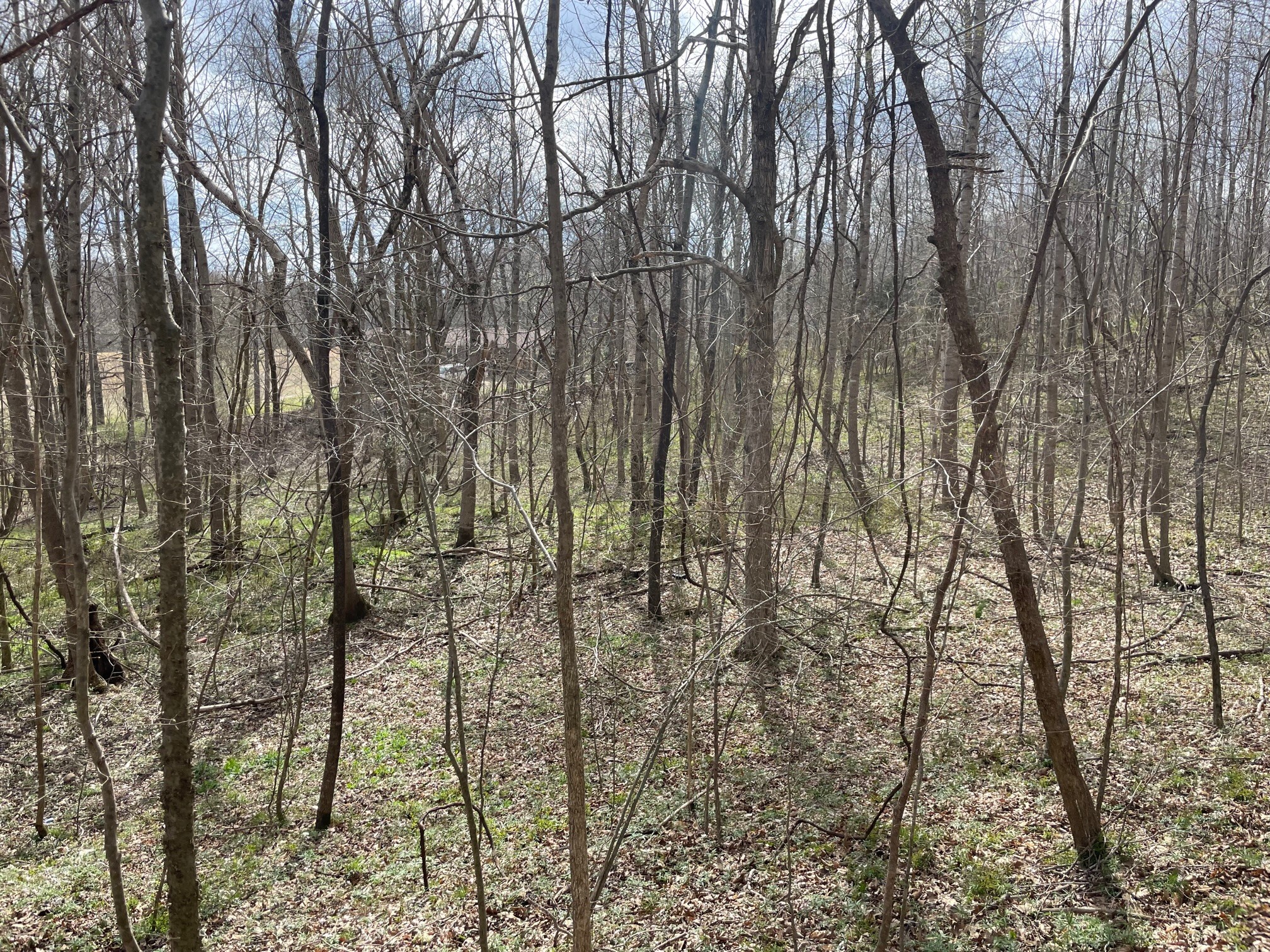 4100 Coleman Road Woodlawn, TN 37191 - Photo 43 of 55 Gallery Image 43