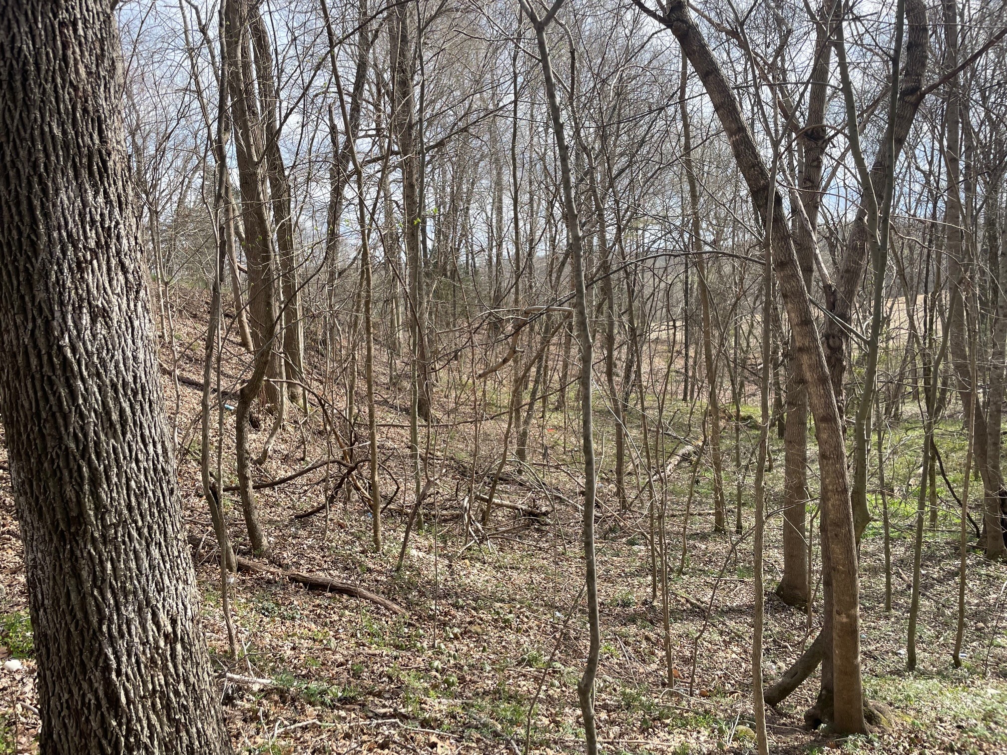 4100 Coleman Road Woodlawn, TN 37191 - Photo 45 of 55 Gallery Image 45