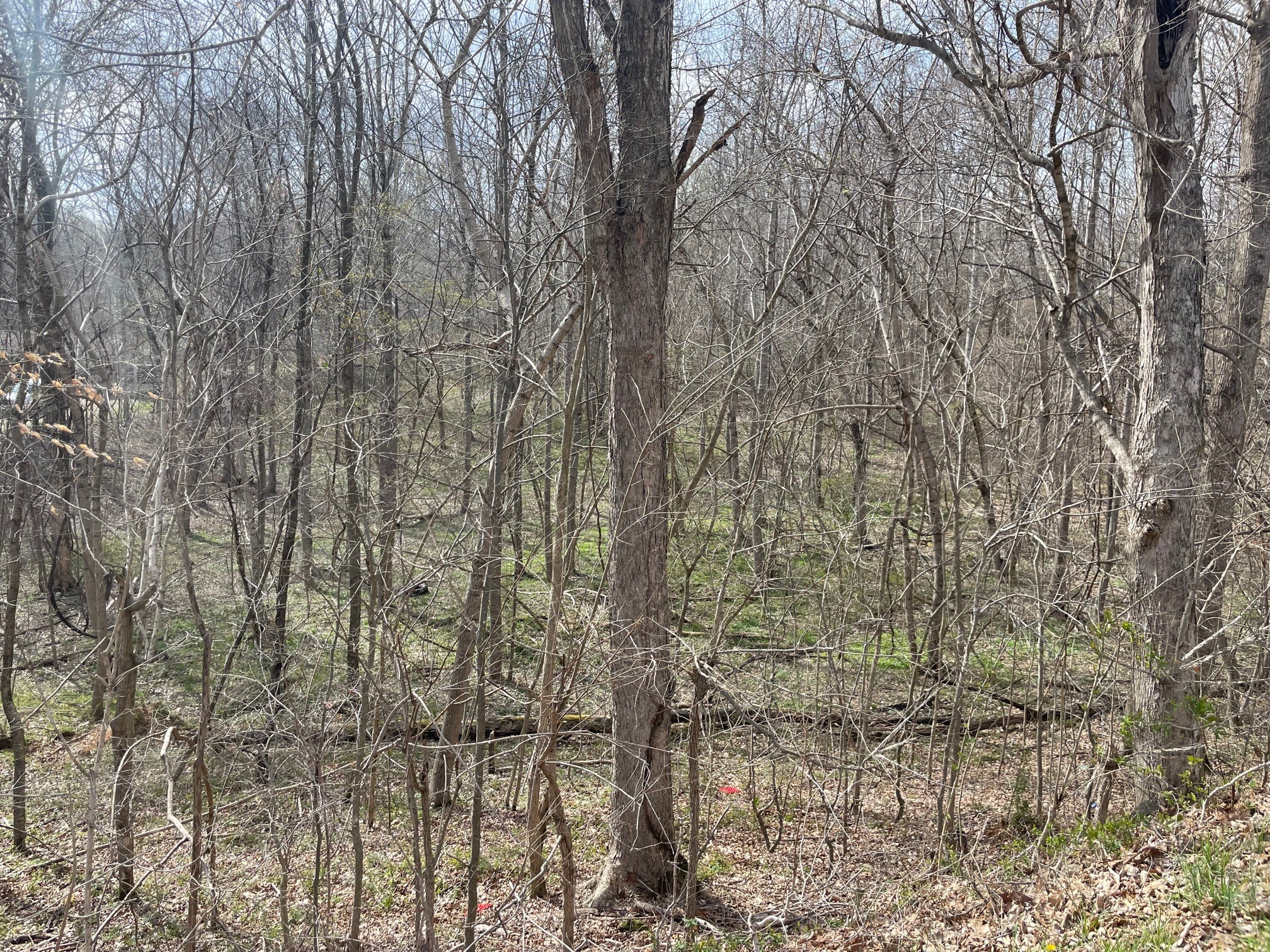 4100 Coleman Road Woodlawn, TN 37191 - Photo 46 of 55 Gallery Image 46