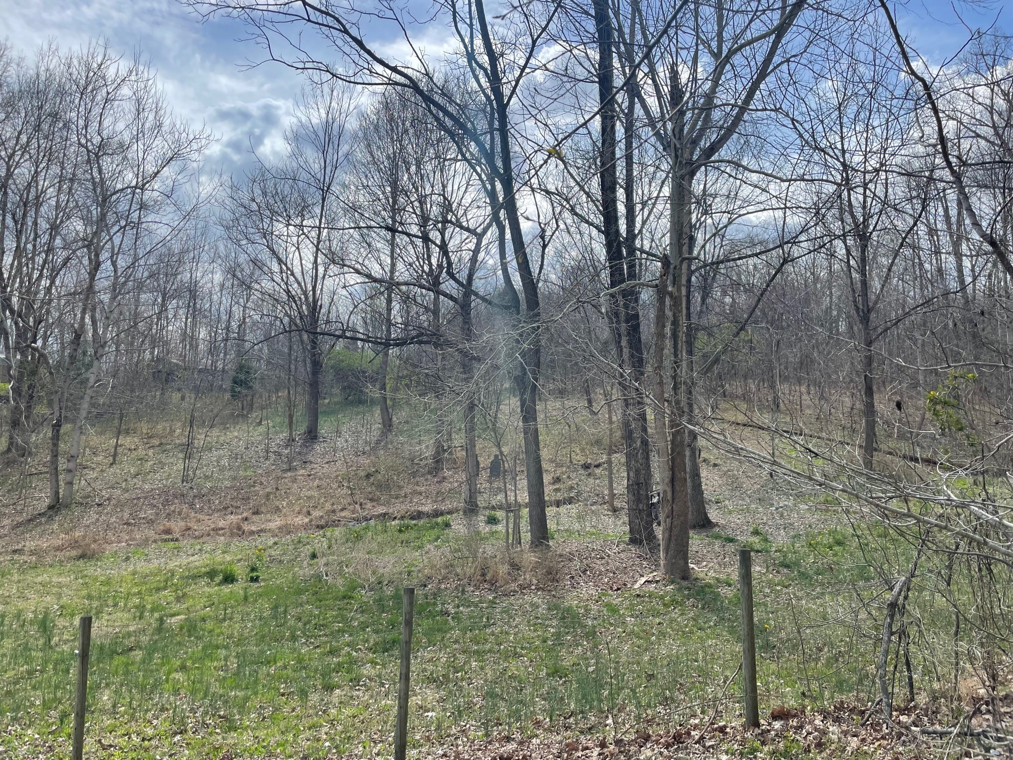 4100 Coleman Road Woodlawn, TN 37191 - Photo 47 of 55 Gallery Image 47