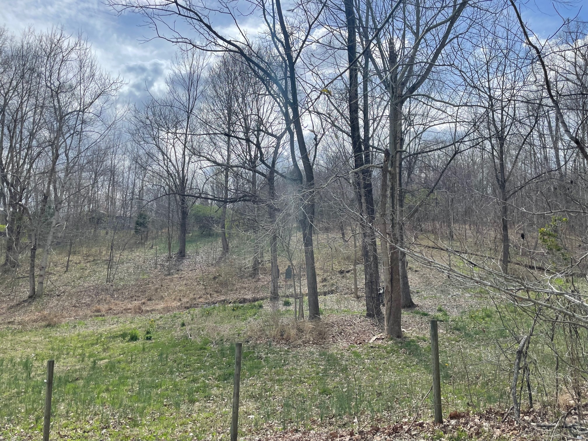 4100 Coleman Road Woodlawn, TN 37191 - Photo 48 of 55 Gallery Image 48