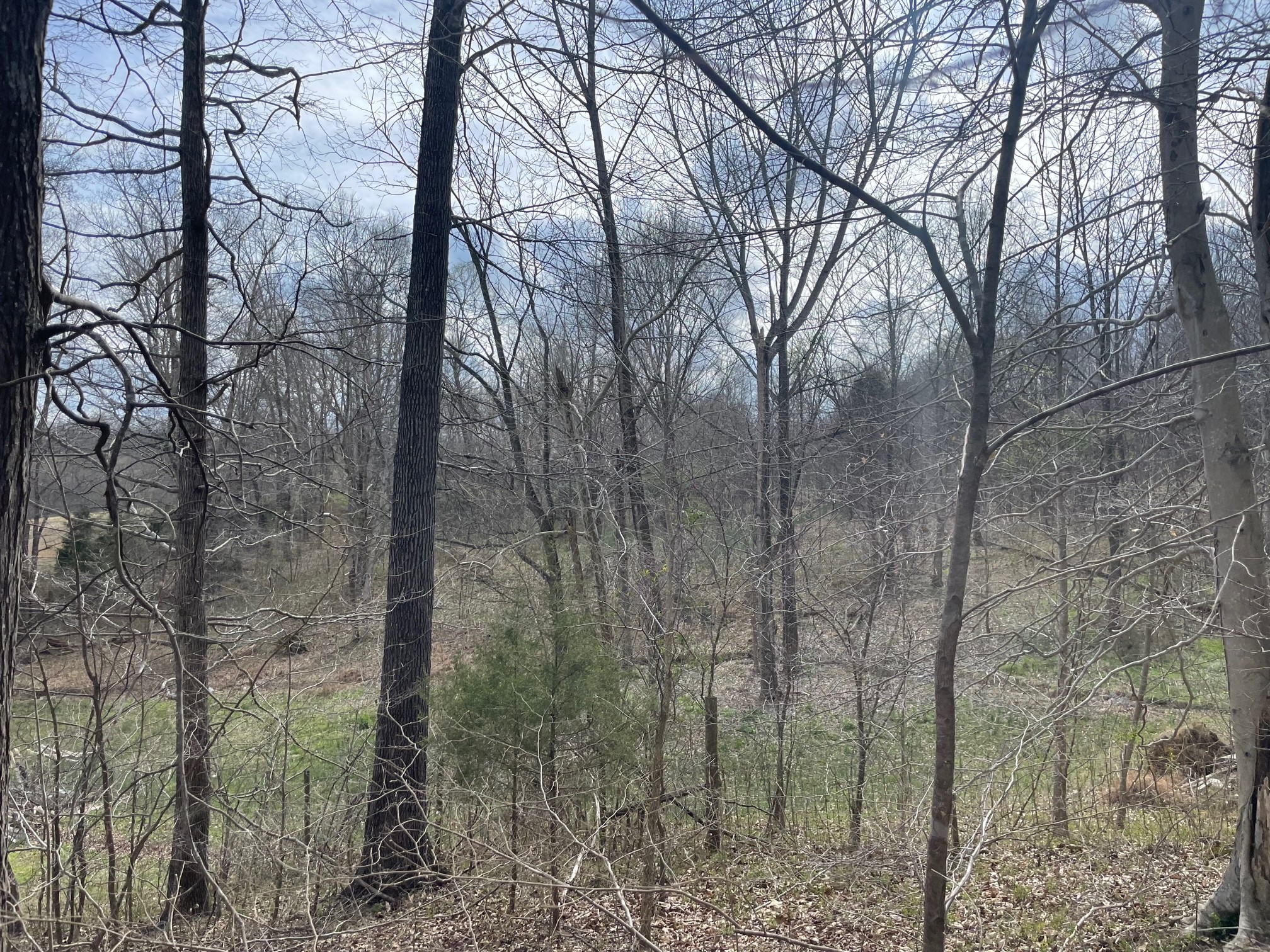 4100 Coleman Road Woodlawn, TN 37191 - Photo 49 of 55 Gallery Image 49
