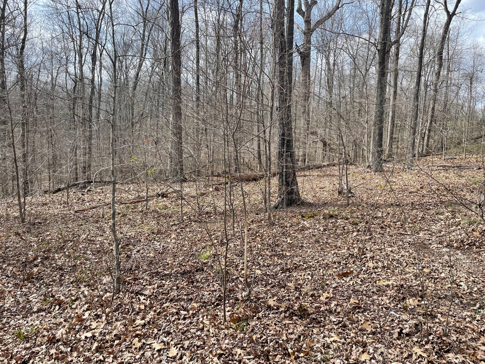 4100 Coleman Road Woodlawn, TN 37191 - Photo 50 of 55 Gallery Image 50