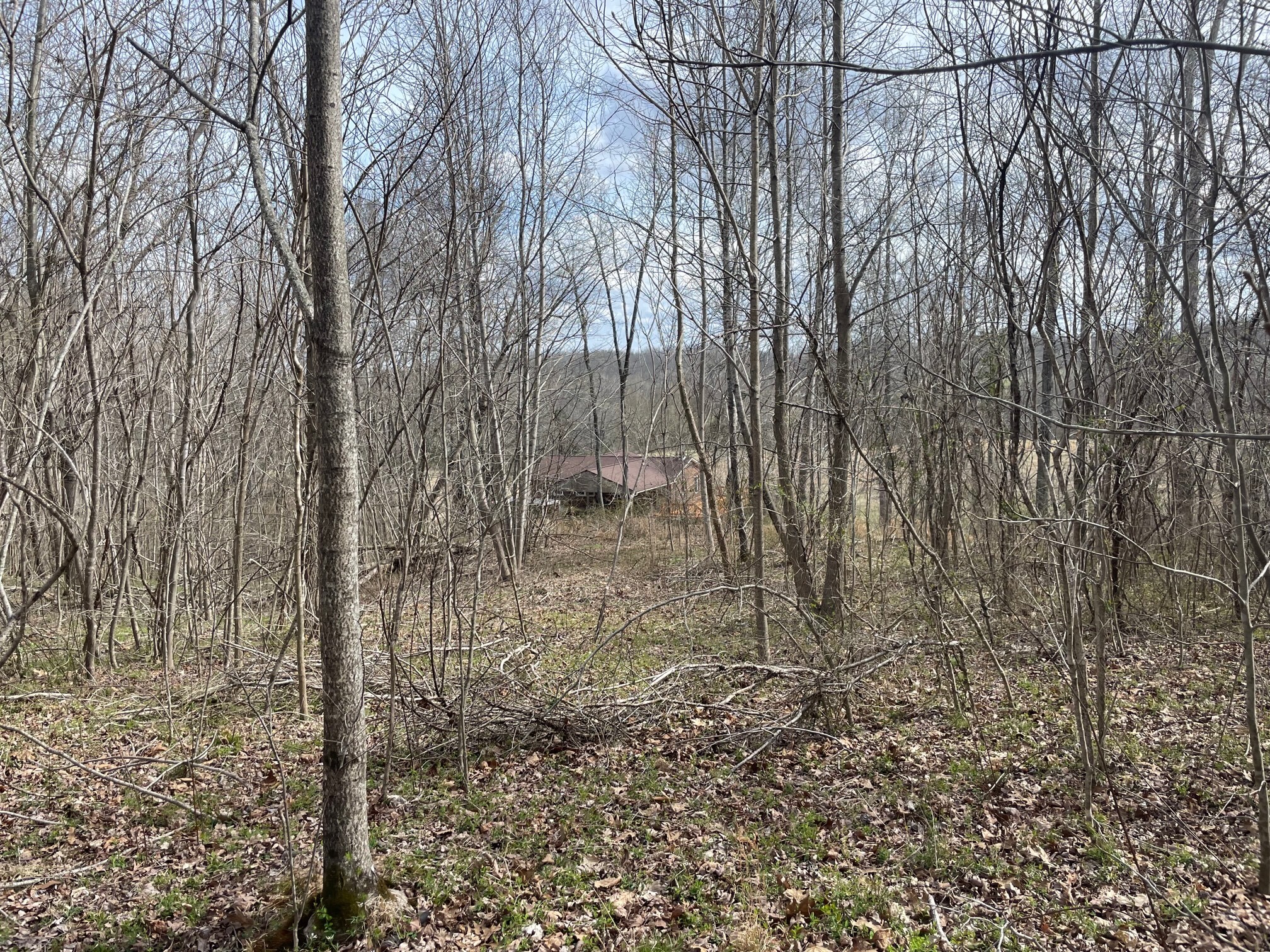 4100 Coleman Road Woodlawn, TN 37191 - Photo 51 of 55 Gallery Image 51