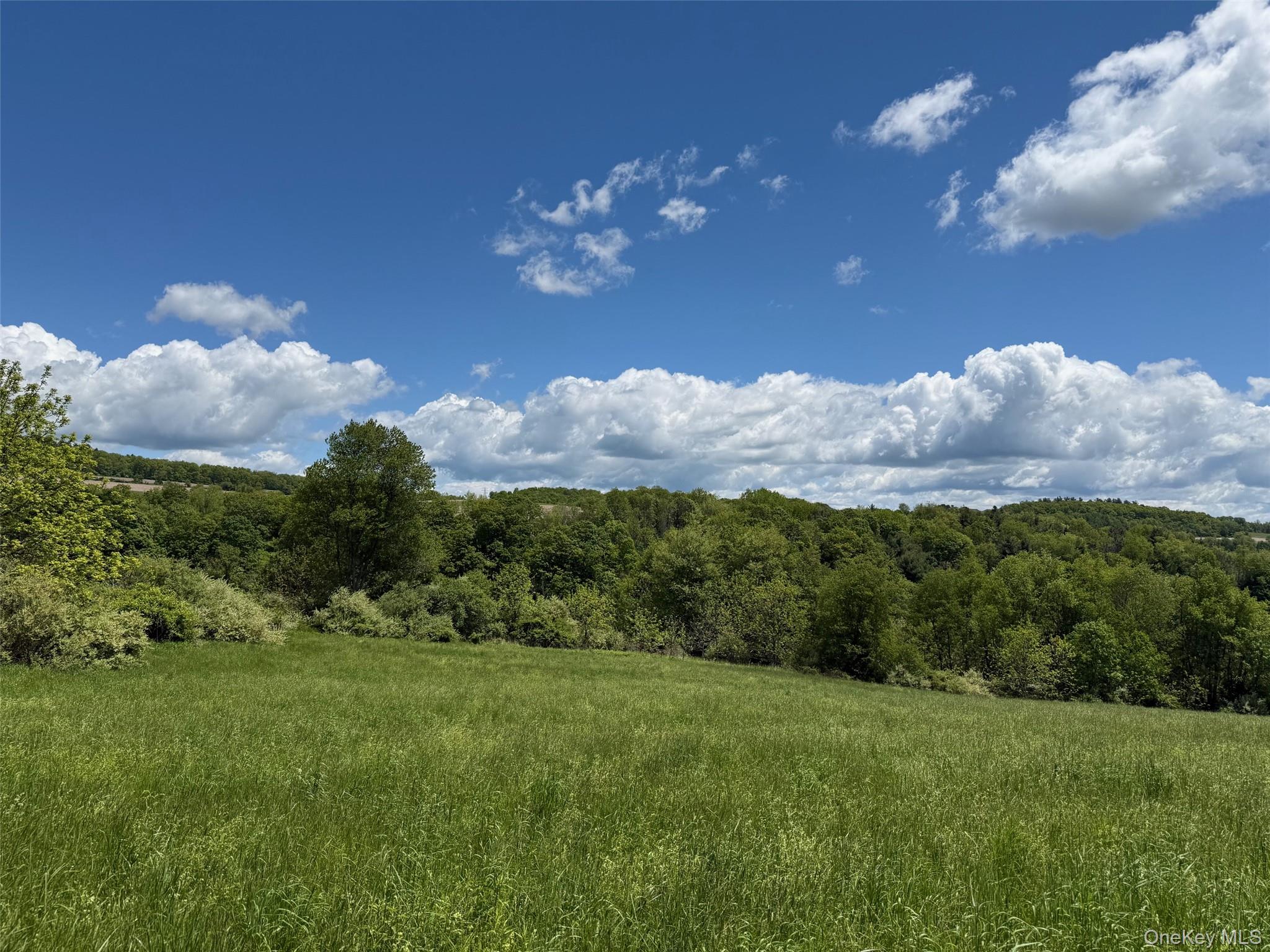 Smithfield Road Millerton, NY 12546 - Photo 2 of 10 a view of a big yard with lots of green space