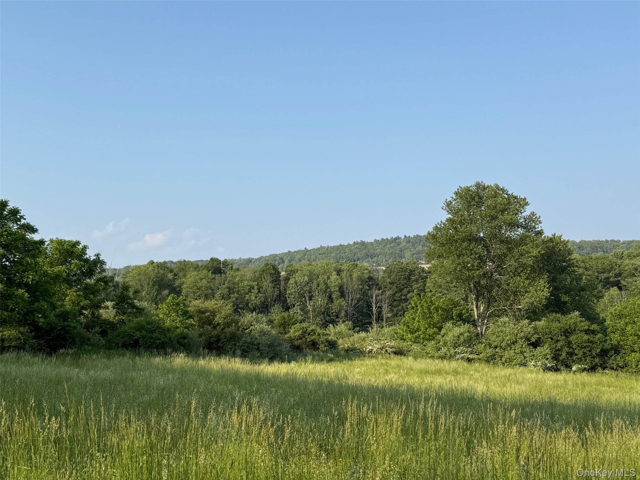 Smithfield Road Millerton, NY 12546 - Photo 5 of 10 a view of a lake with a mountain in the background