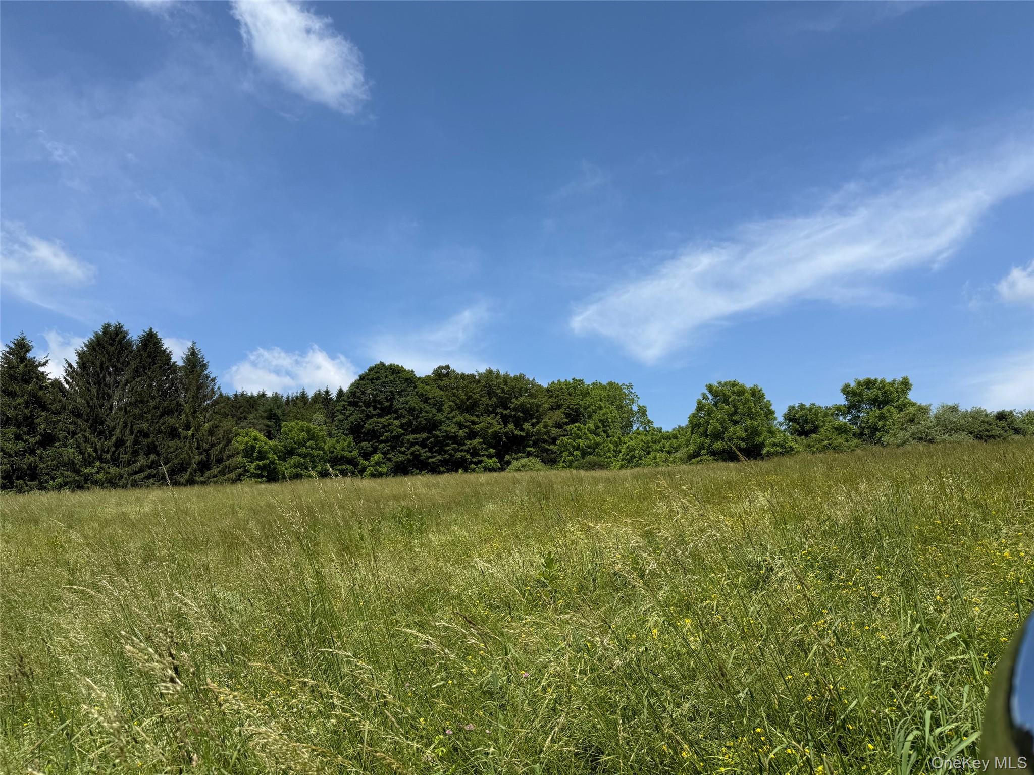 Smithfield Road Millerton, NY 12546 - Photo 6 of 10 a view of a lake with a city