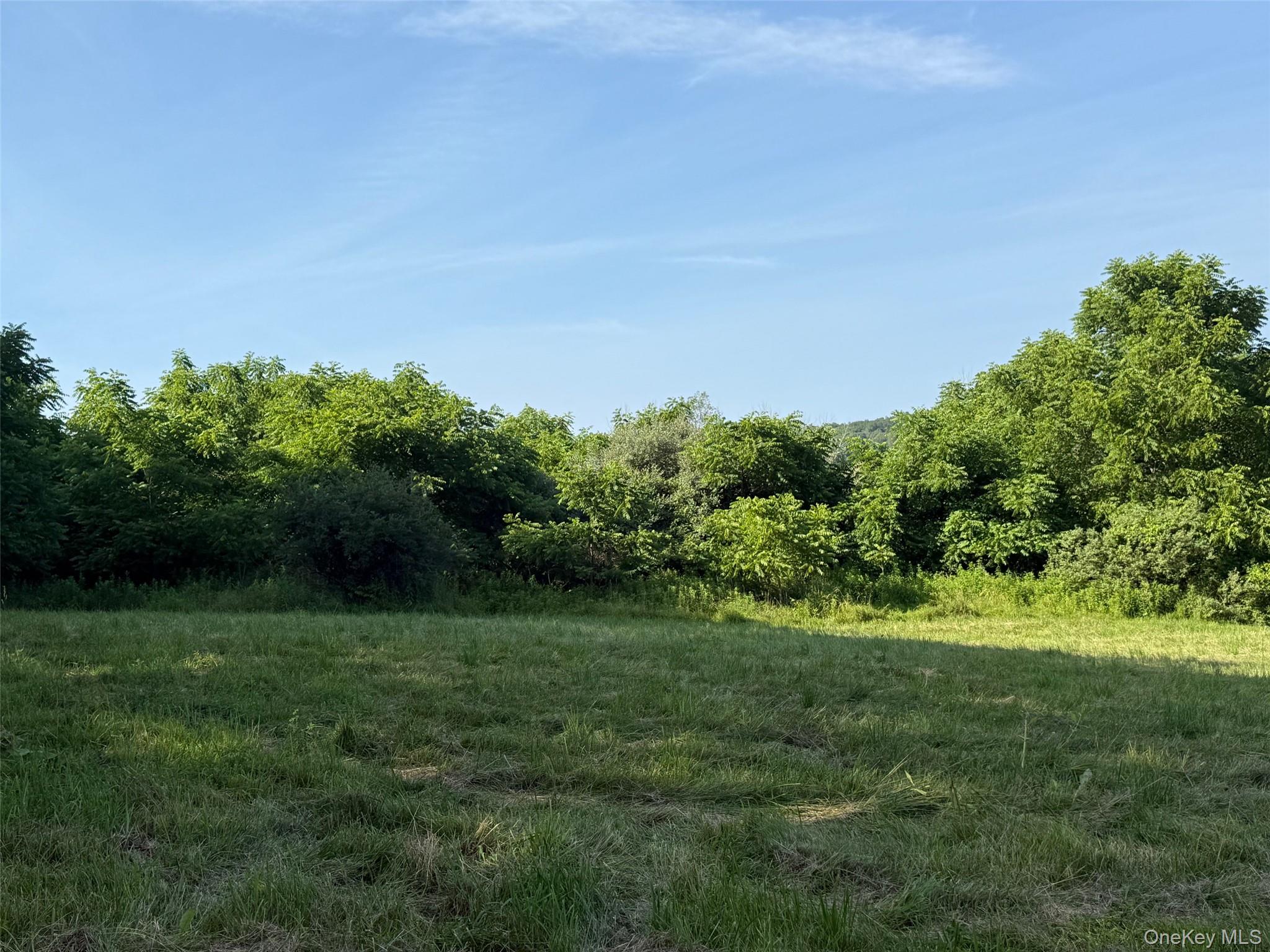 Smithfield Road Millerton, NY 12546 - Photo 9 of 10 a view of a grassy field with trees