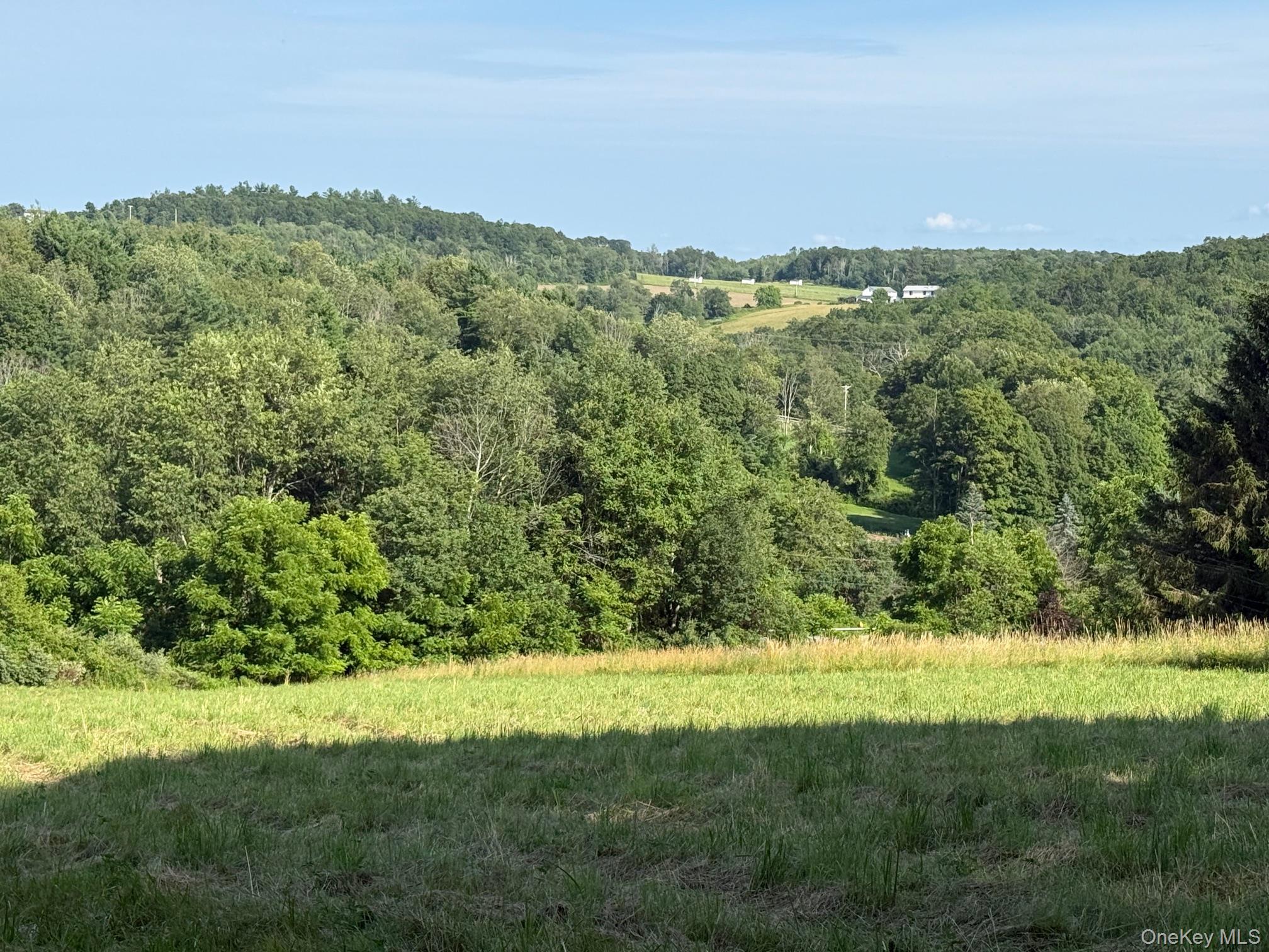 Smithfield Road Millerton, NY 12546 - Photo 10 of 10 a view of a lush green field with a mountain in the background