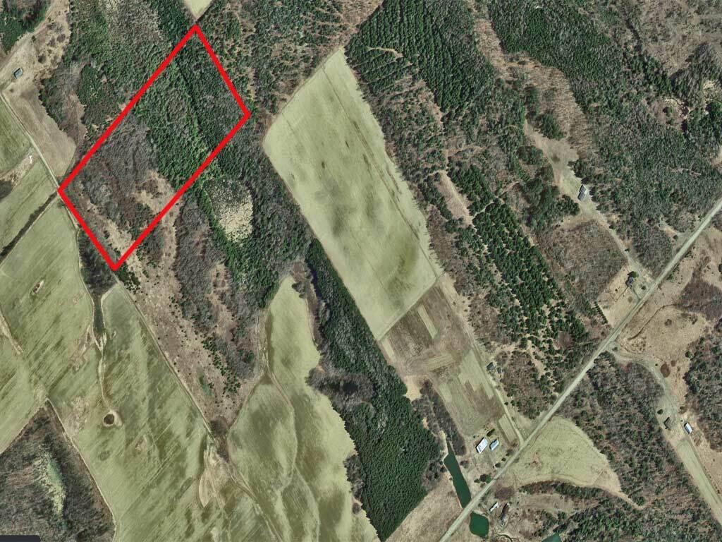 Lot 10 Buckley Road Bridgewater, ME 04735 - Photo 30 of 41 bridgewater-land-20-acres-e