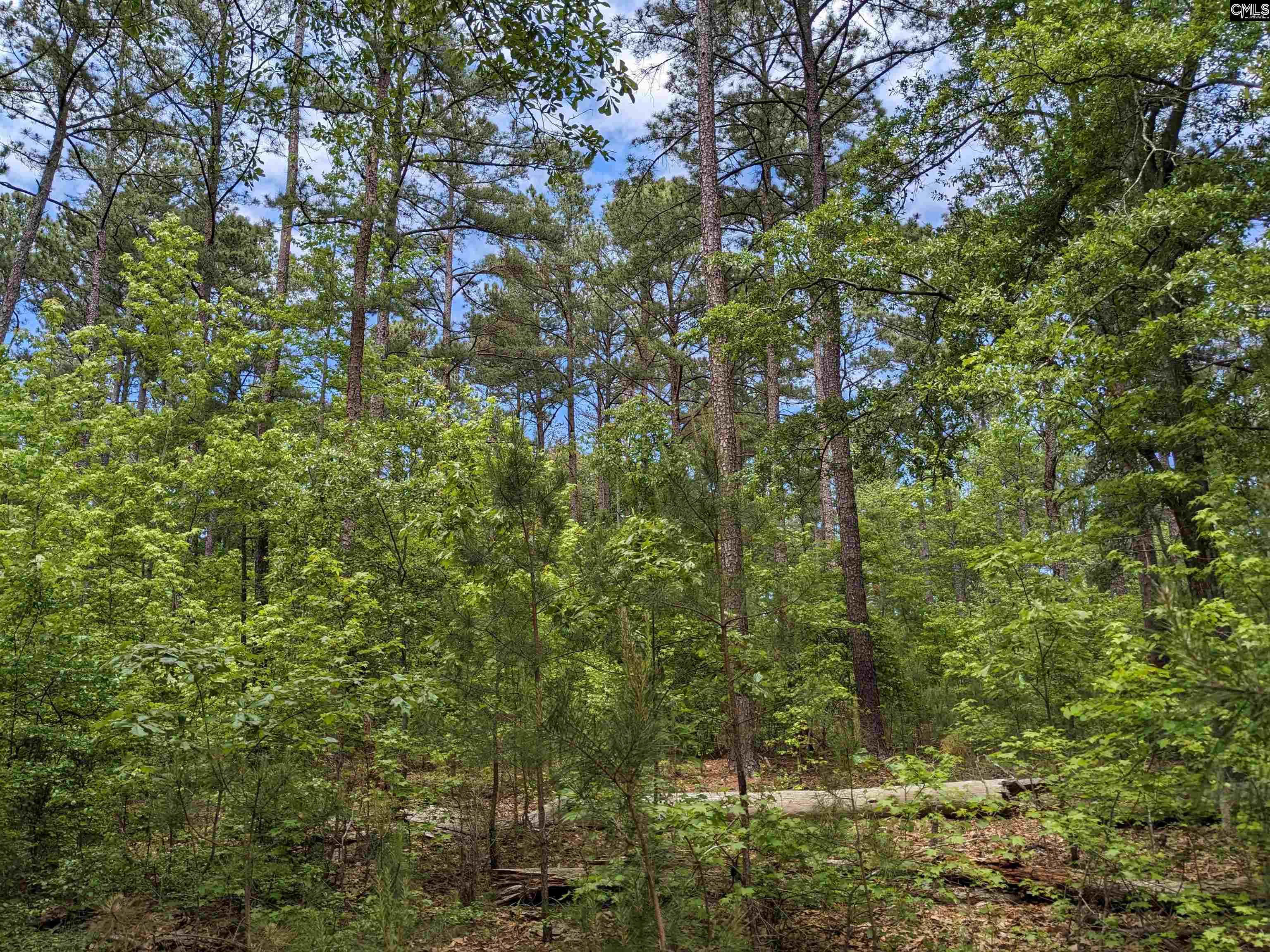 Syrup Mill Road Ridgeway, SC 29130 - Photo 4 of 33