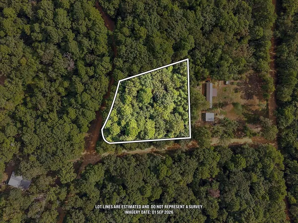 $20,000 | 1 White Oak Drive, Etoile, TX 75944