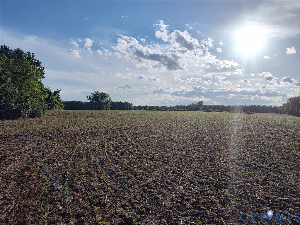 108.5-ac Buzzards Neck Road Lancaster, VA 22503 - Photo 25 of 50