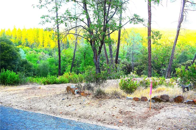 a view of outdoor space with trees