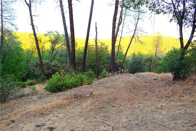 a view of a road with plants and trees